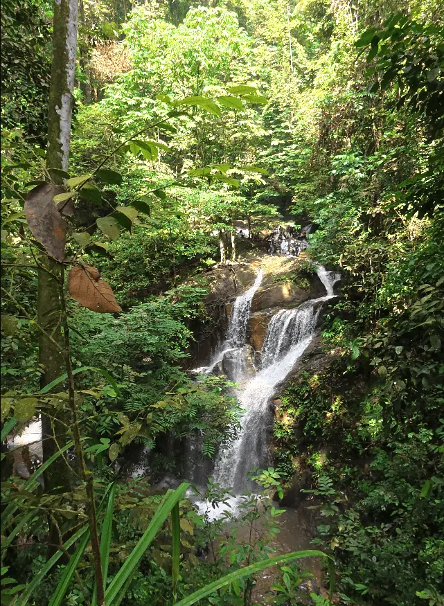 Sungai Pisang Waterfall - Waterfall in Gombak