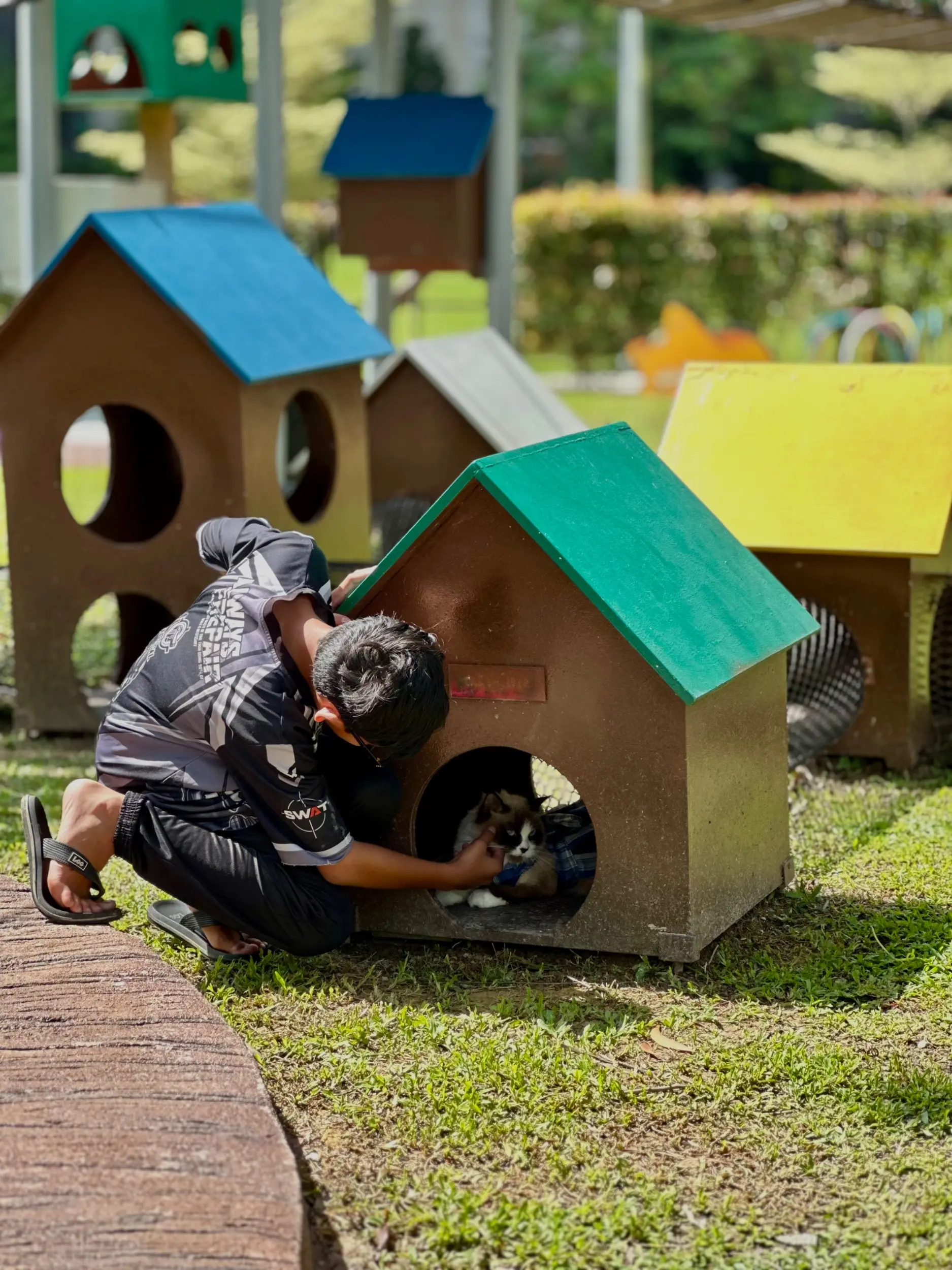 Catopia Taman Kucing Shah Alam