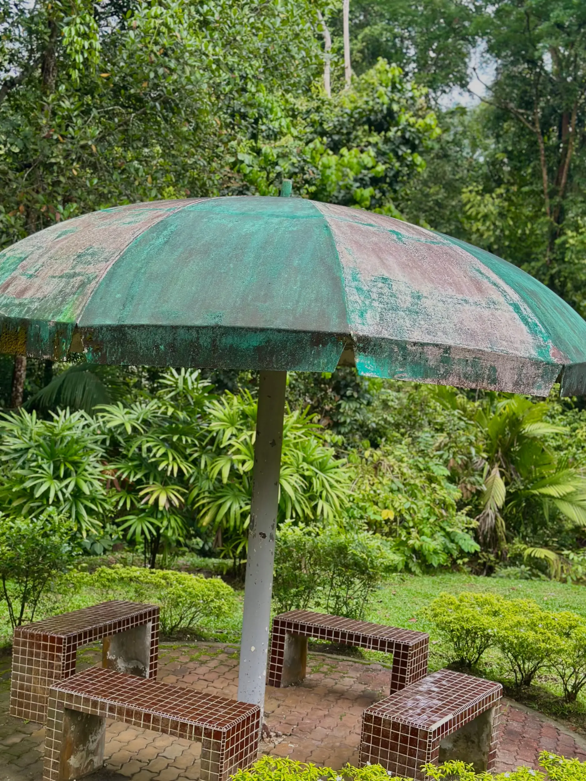 Taman Botani Negara Shah Alam photo 6