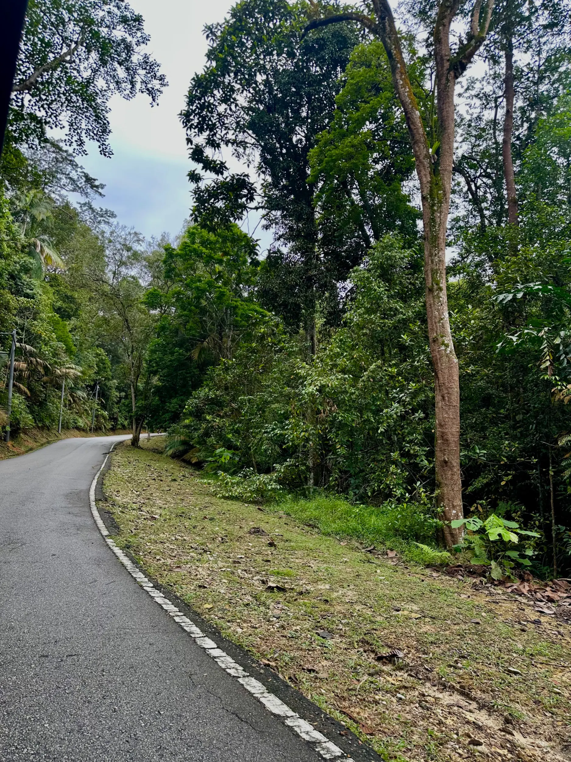 Taman Botani Negara Shah Alam photo 14