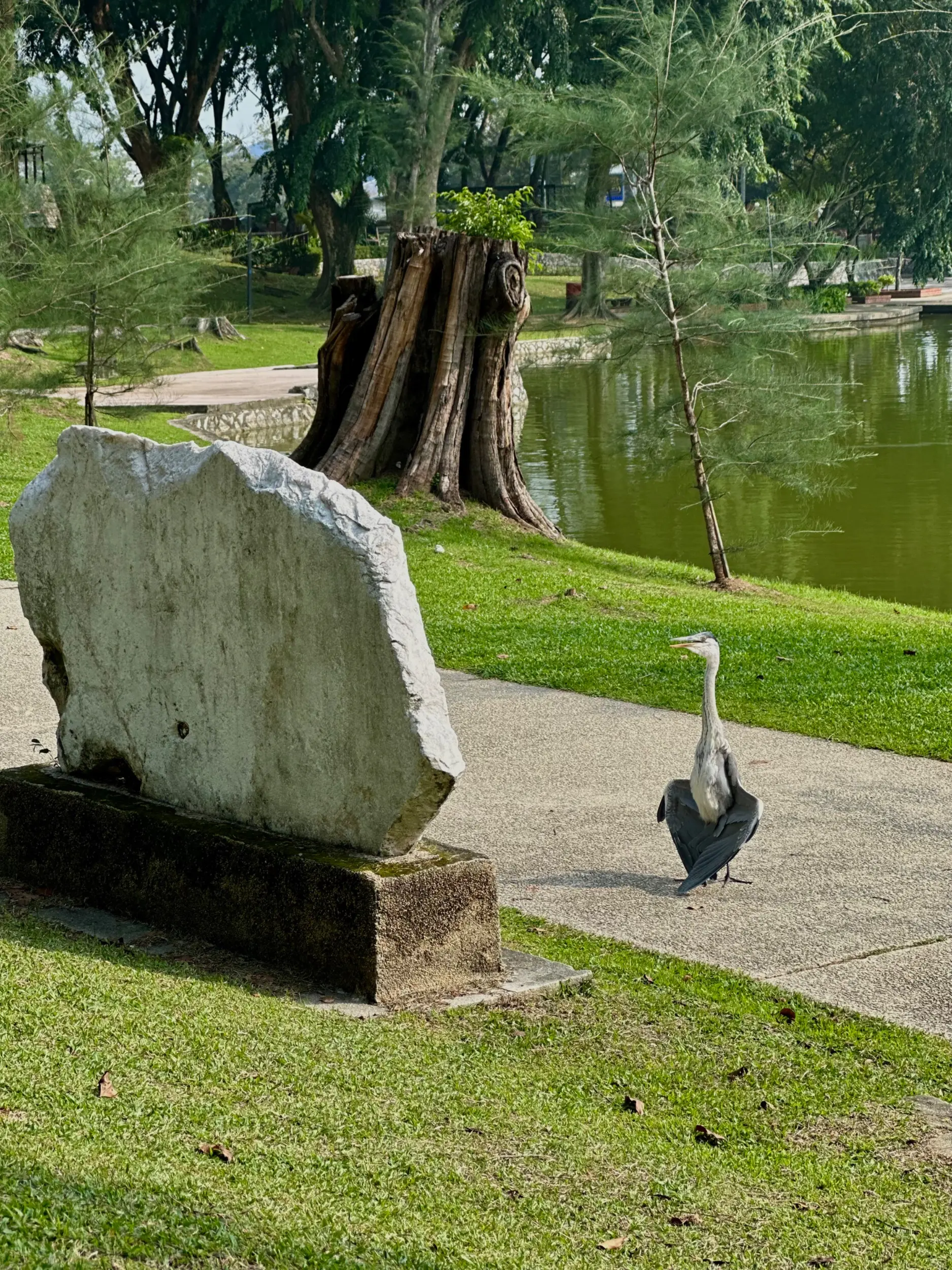 Taman Tasik Shah Alam - Garden & Park in Shah Alam