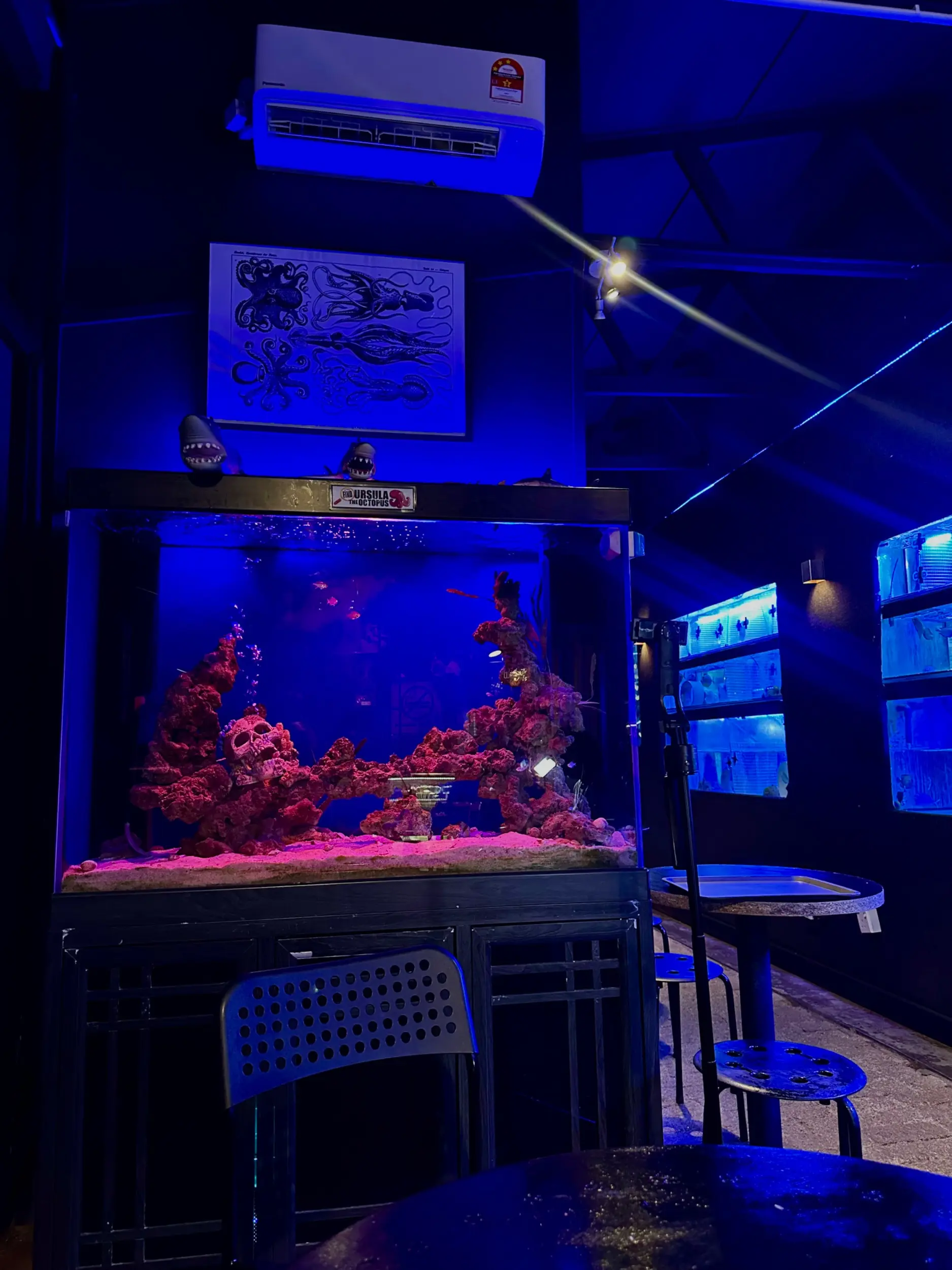 Aqua Sentinel photo 24