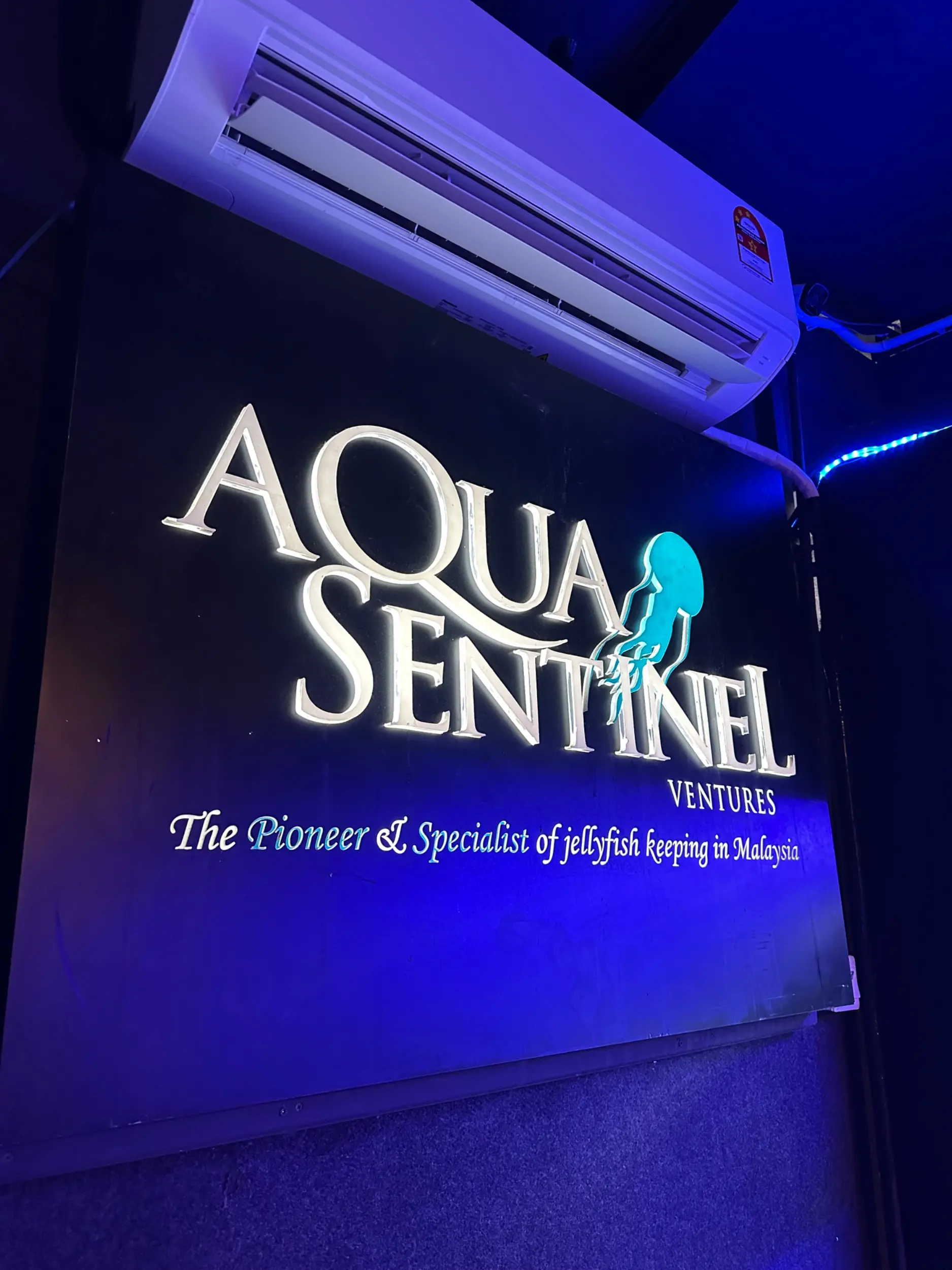 Aqua Sentinel photo 35
