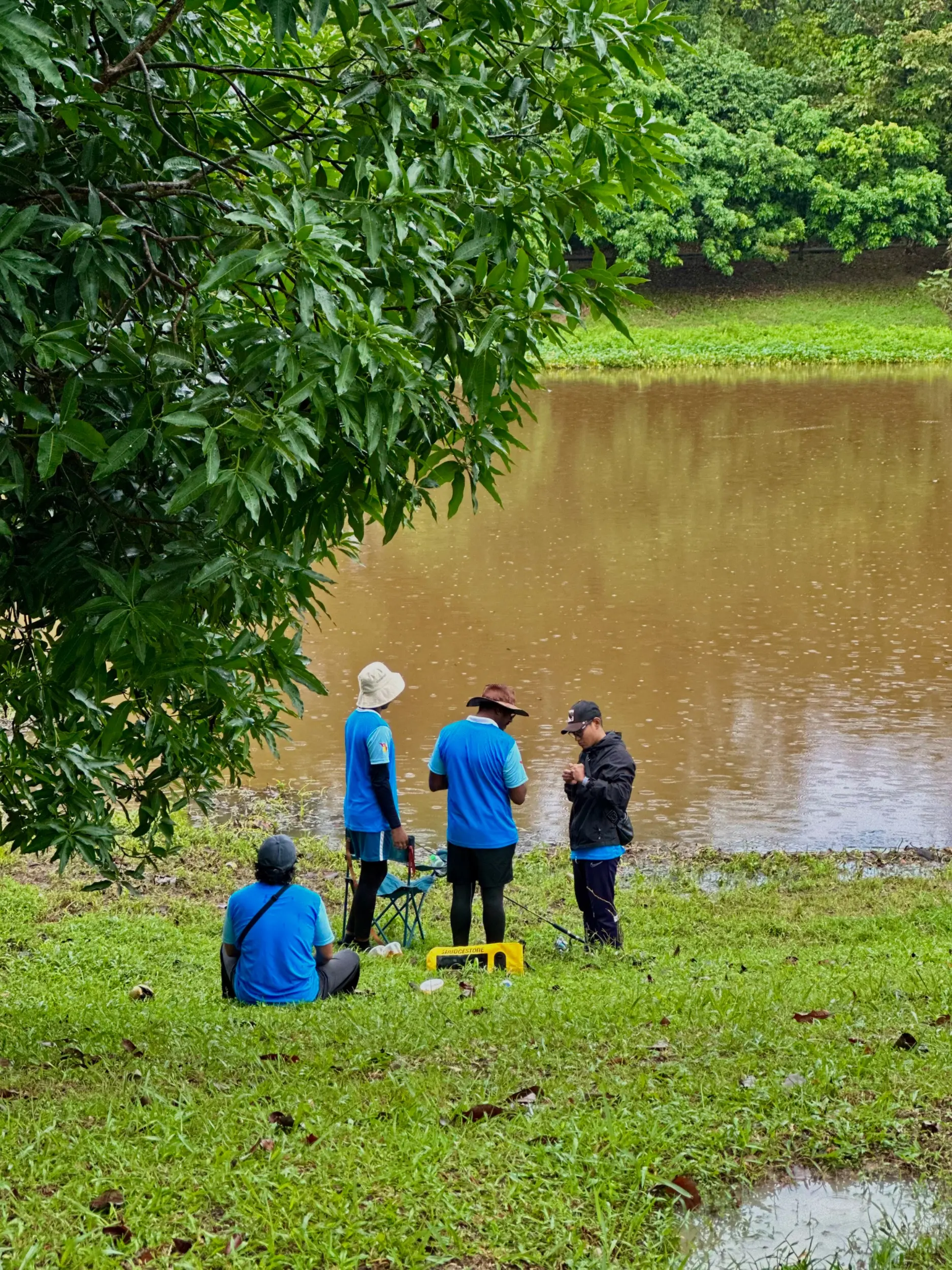 Kebun Komuniti (Palatium Bukit Bandaraya Shah Alam) photo 17