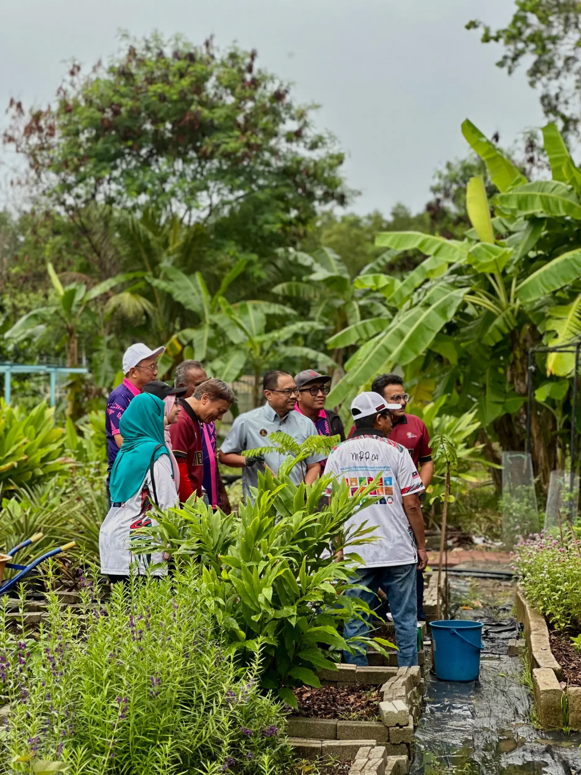 Kebun Komuniti (Palatium Bukit Bandaraya Shah Alam) photo 7