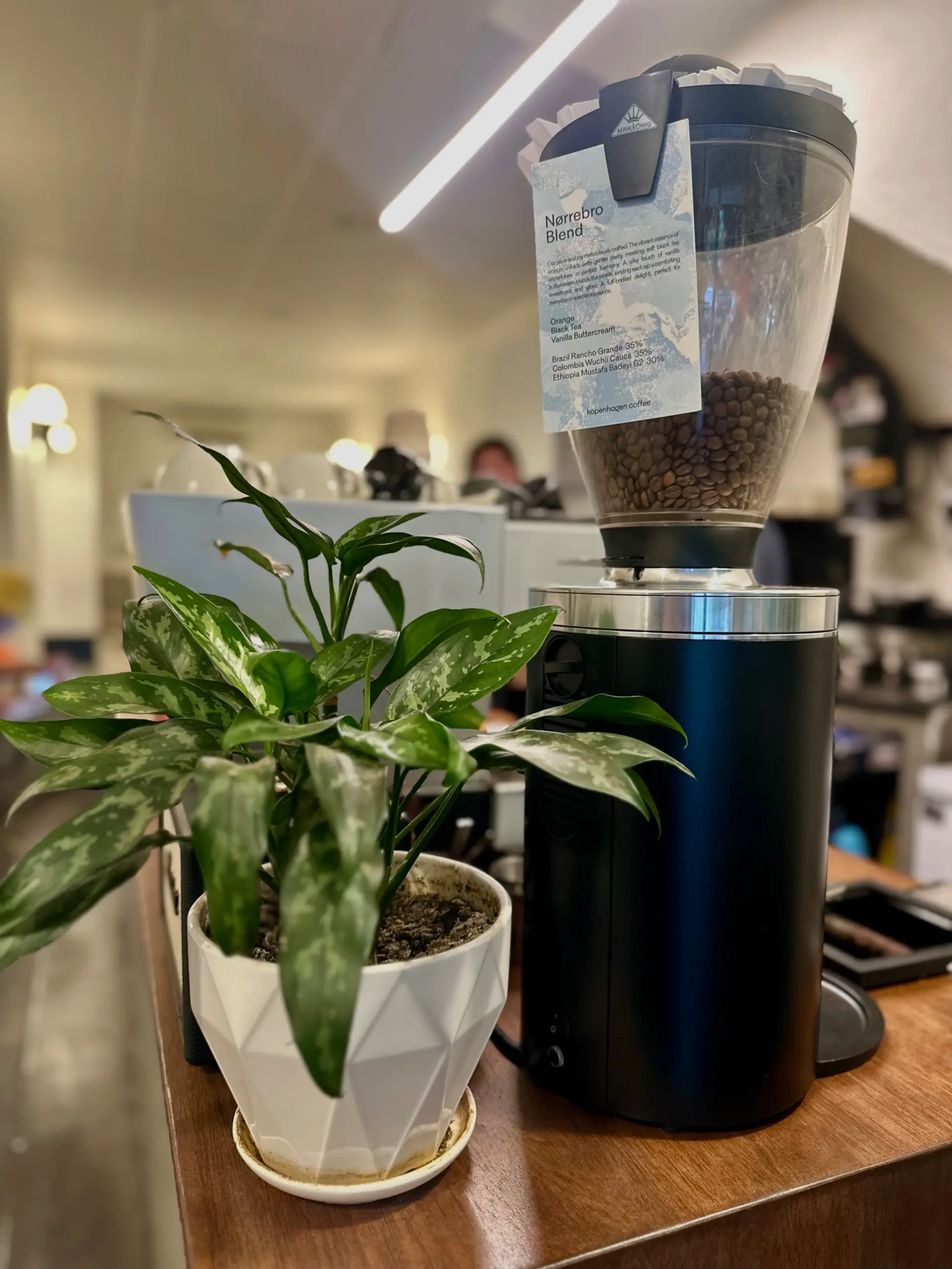 Take Five Coffee Brewers photo 13