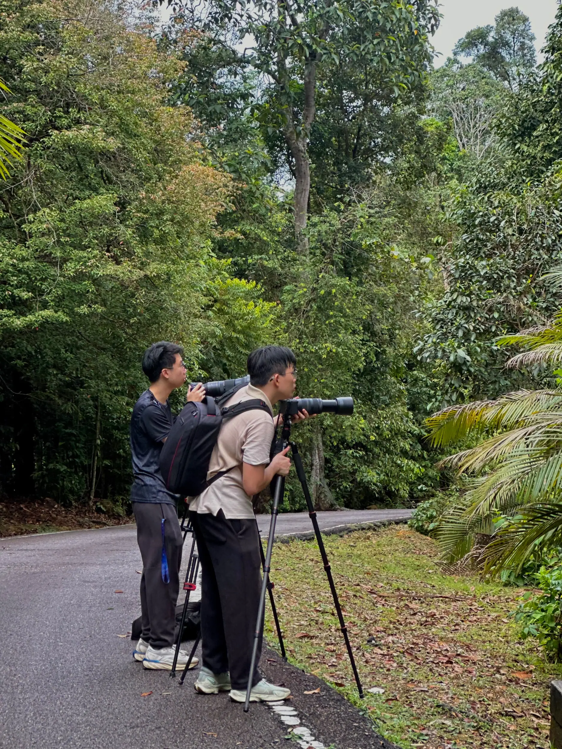 Taman Botani Negara Shah Alam photo 3