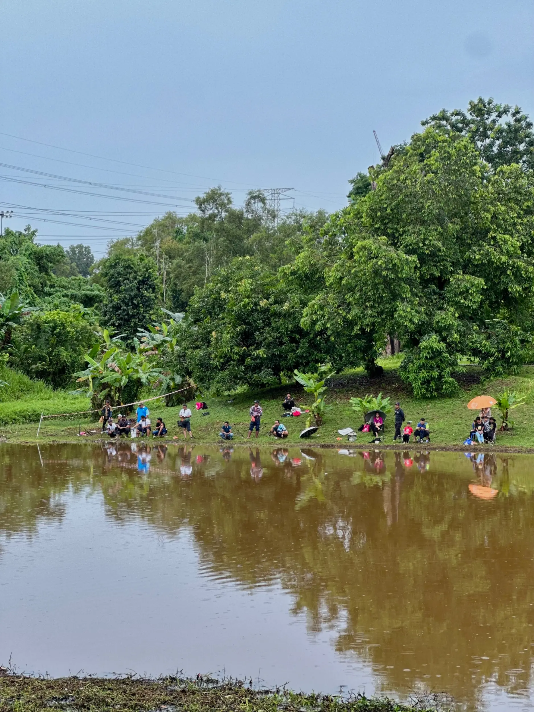 Kebun Komuniti (Palatium Bukit Bandaraya Shah Alam) photo 22