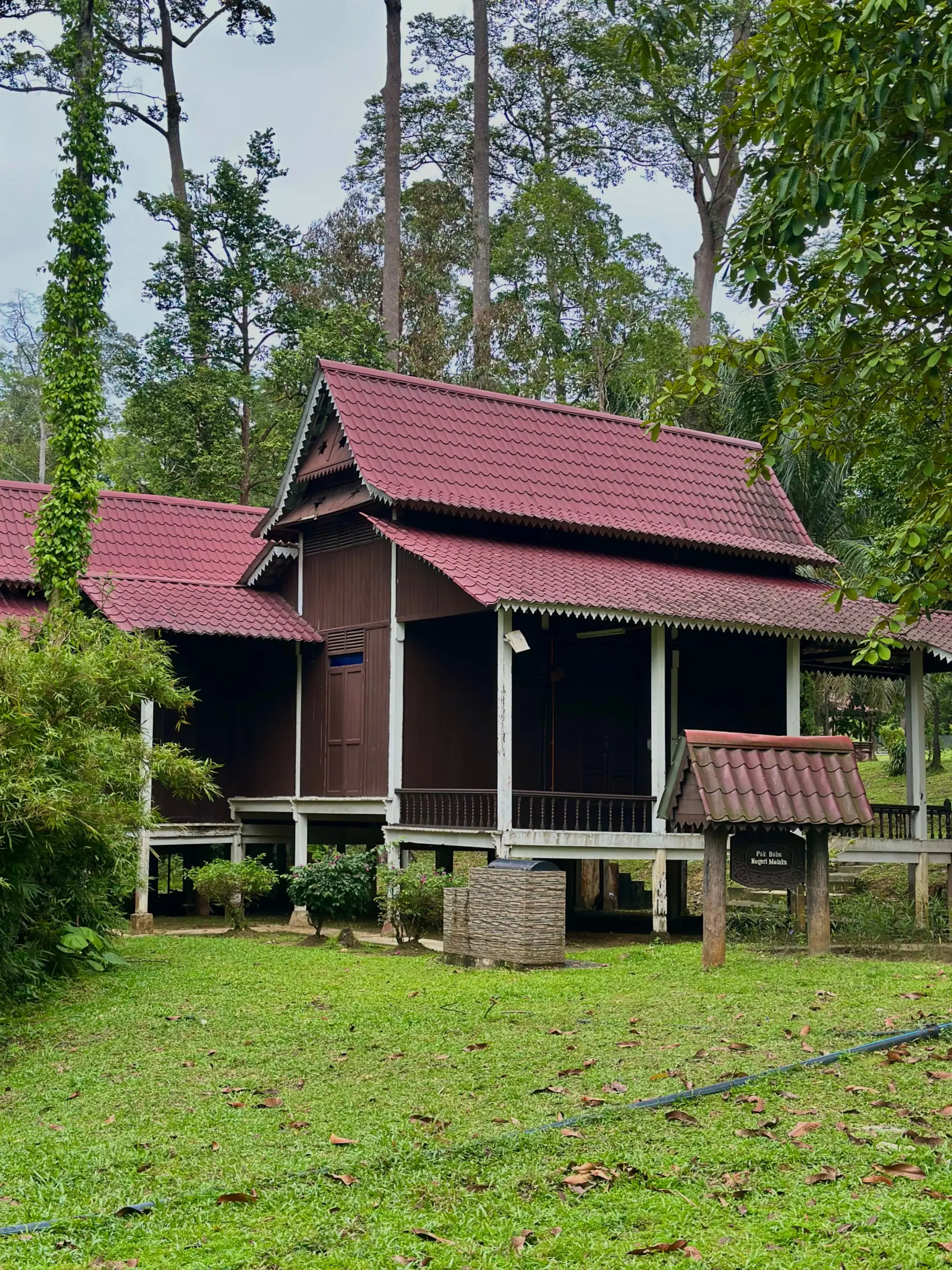 Taman Botani Negara Shah Alam photo 8