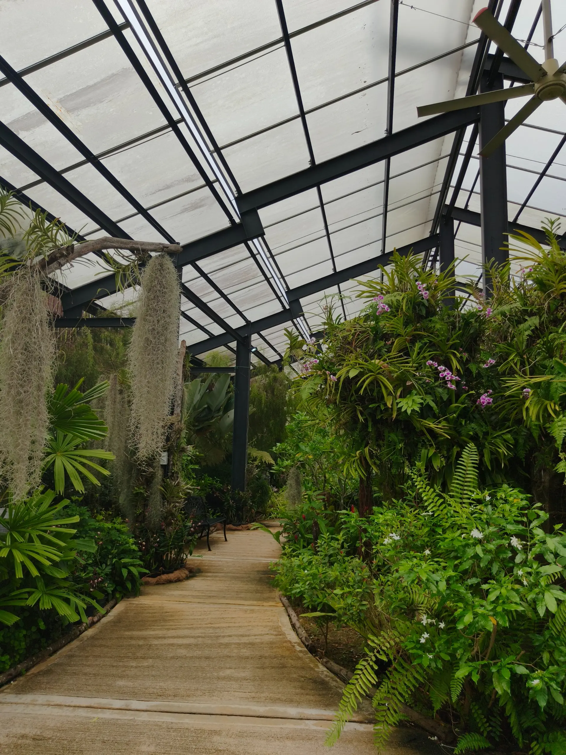 Taman Orkid Kuala Lumpur - Garden & Park in Kuala Lumpur