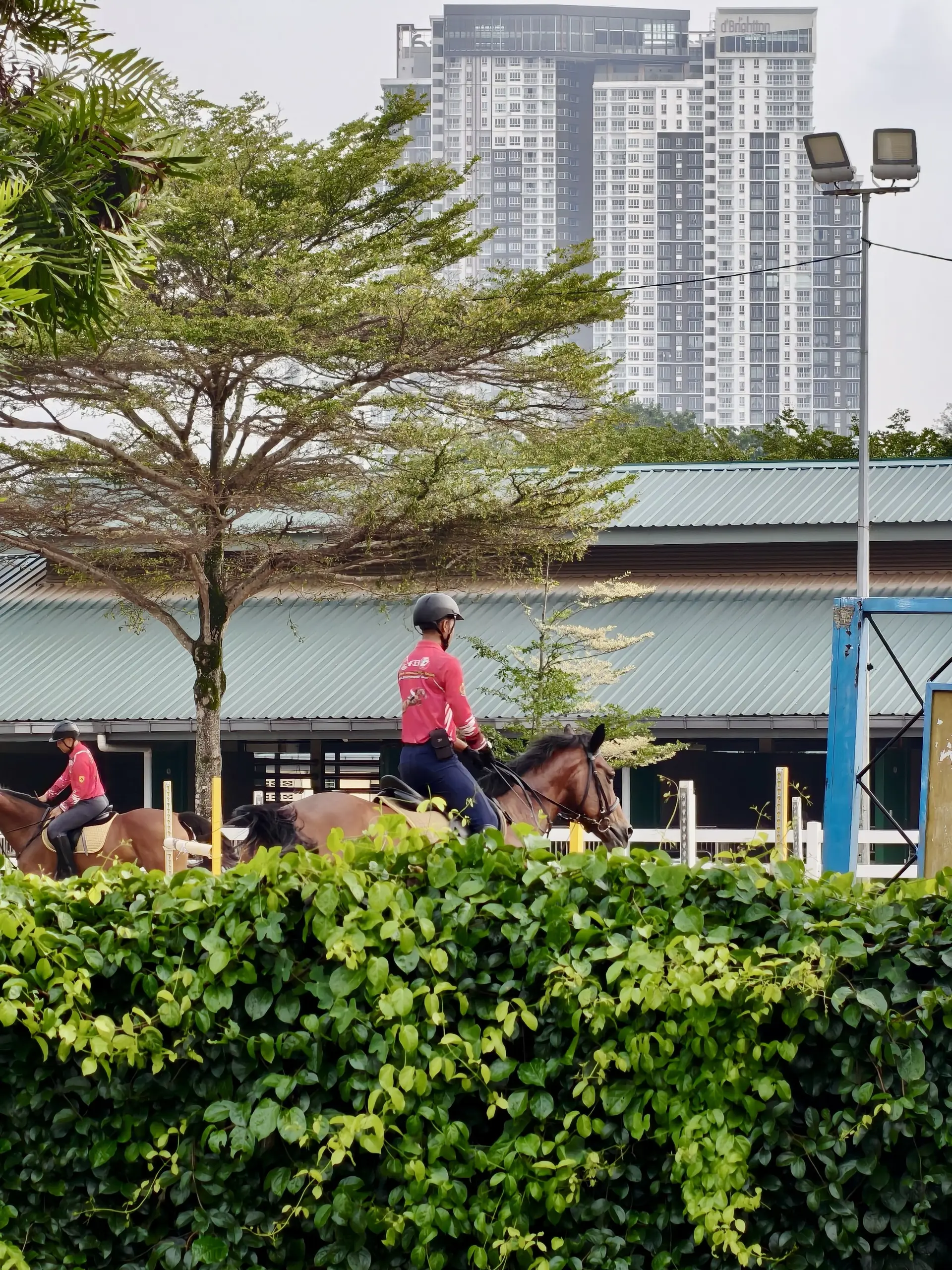 Taman Tasik Titiwangsa - Garden & Park in Kuala Lumpur