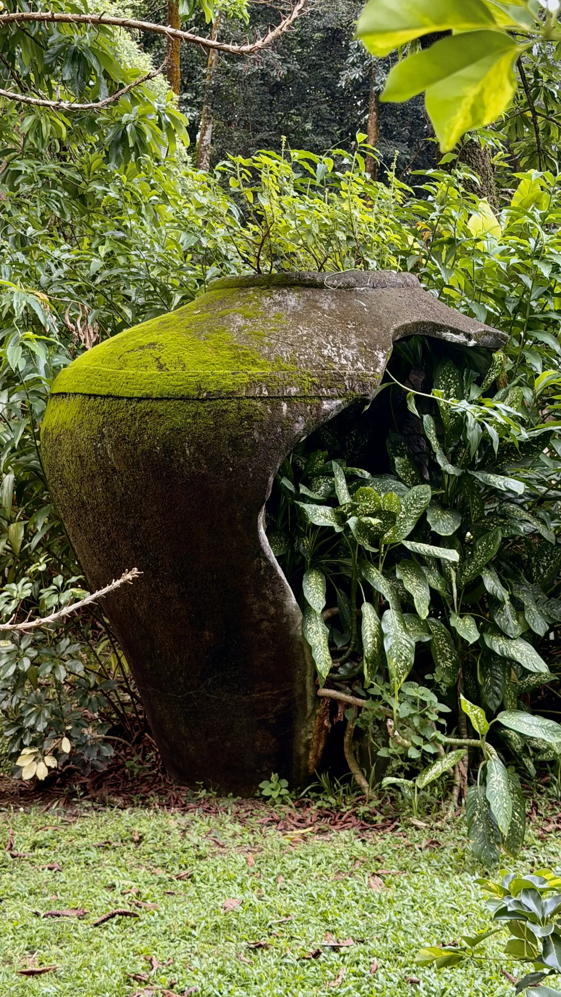 Perdana Botanical Garden - Garden & Park in Kuala Lumpur