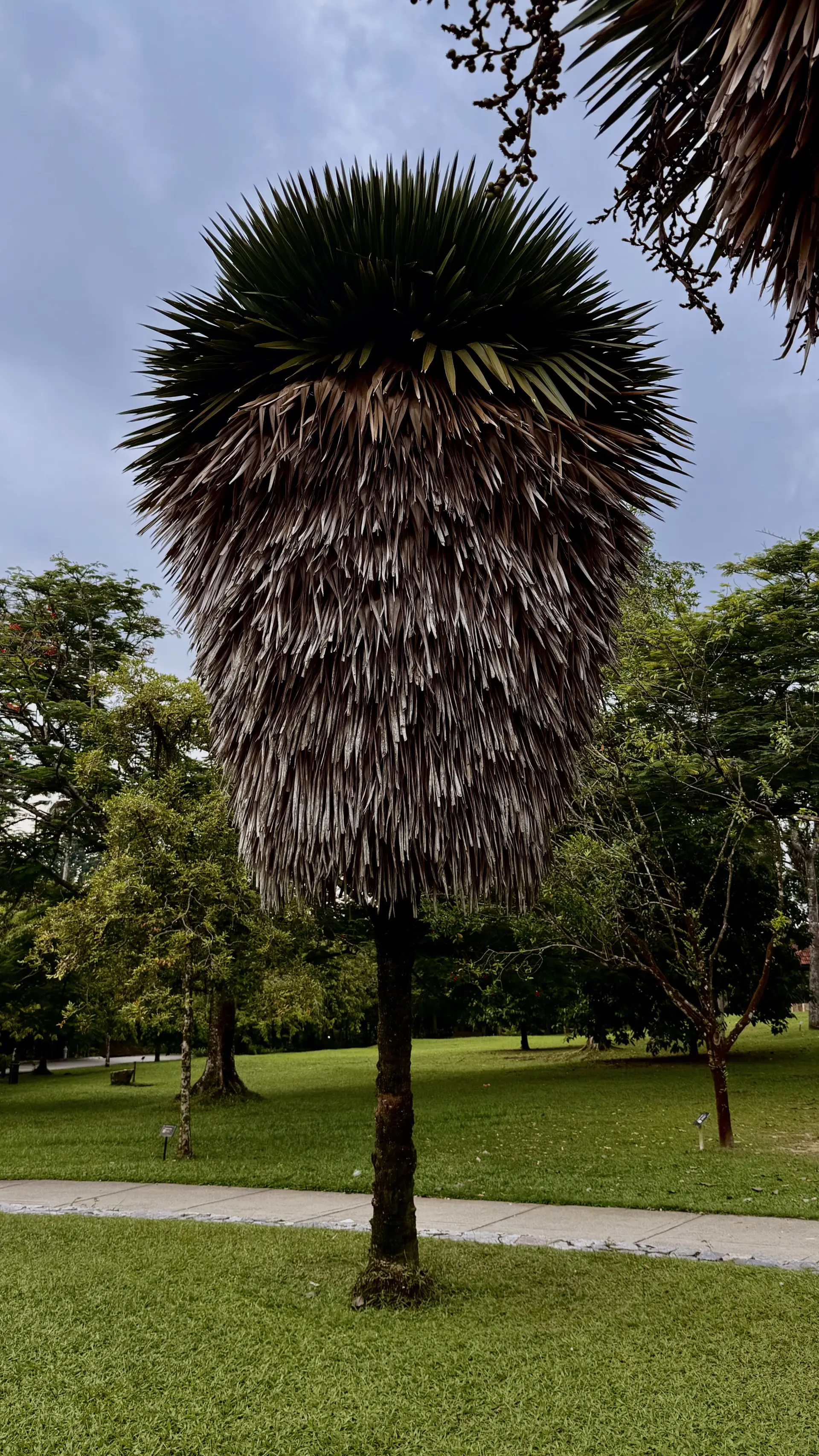 Perdana Botanical Garden - Garden & Park in Kuala Lumpur