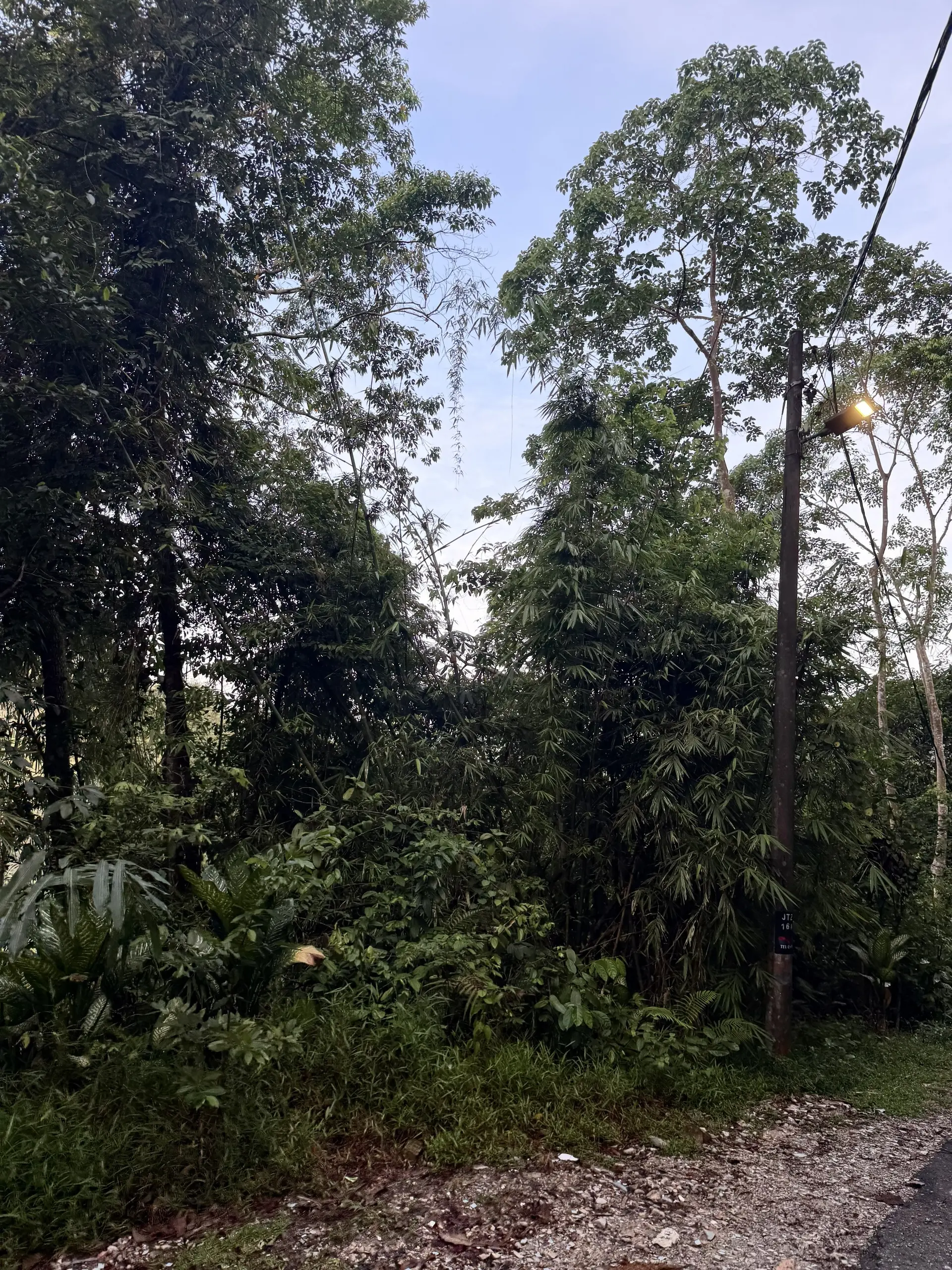Kemensah Trail Head - Outdoor Activity in Ampang
