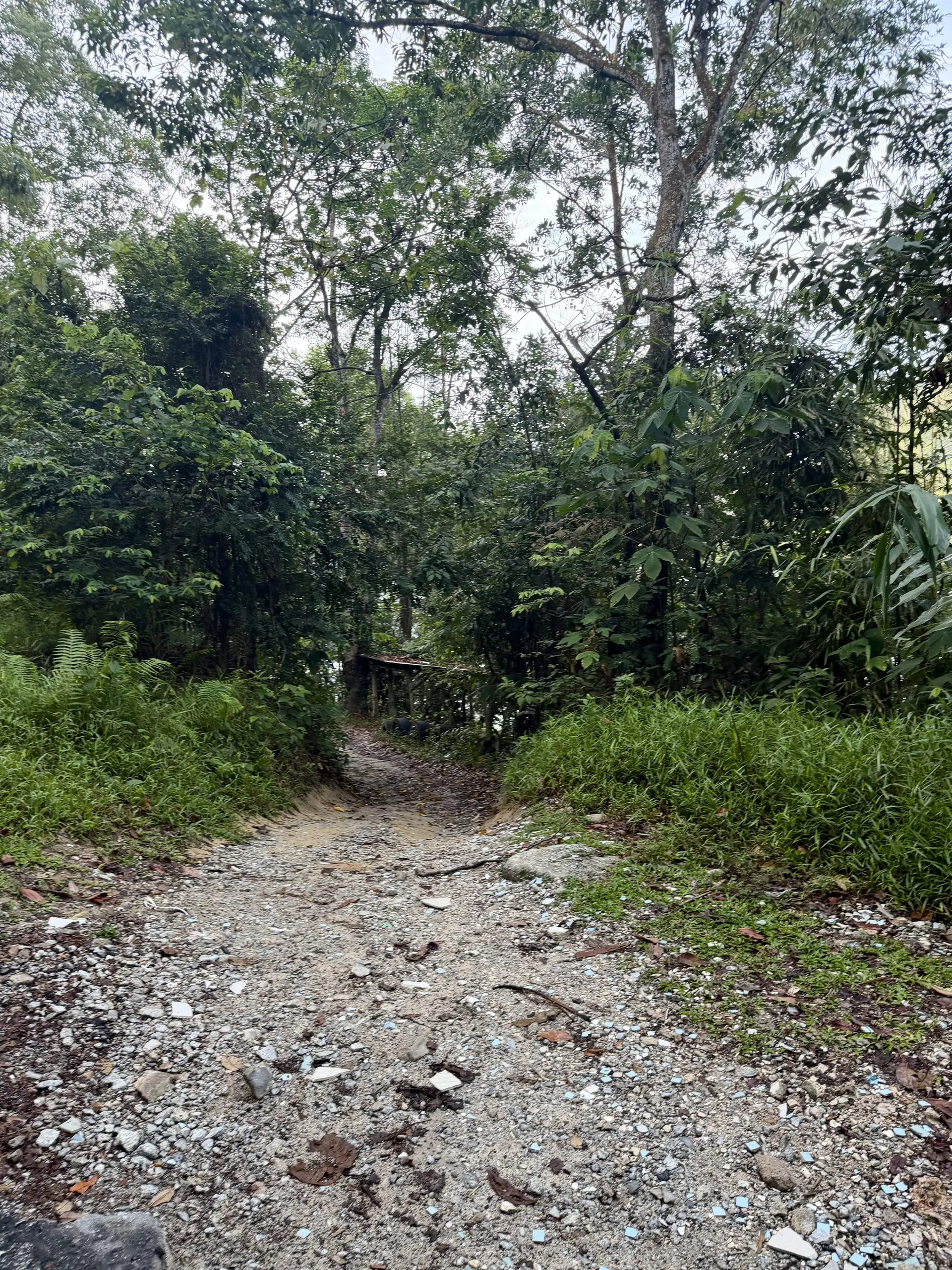 Kemensah Trail Head - Outdoor Activity in Ampang