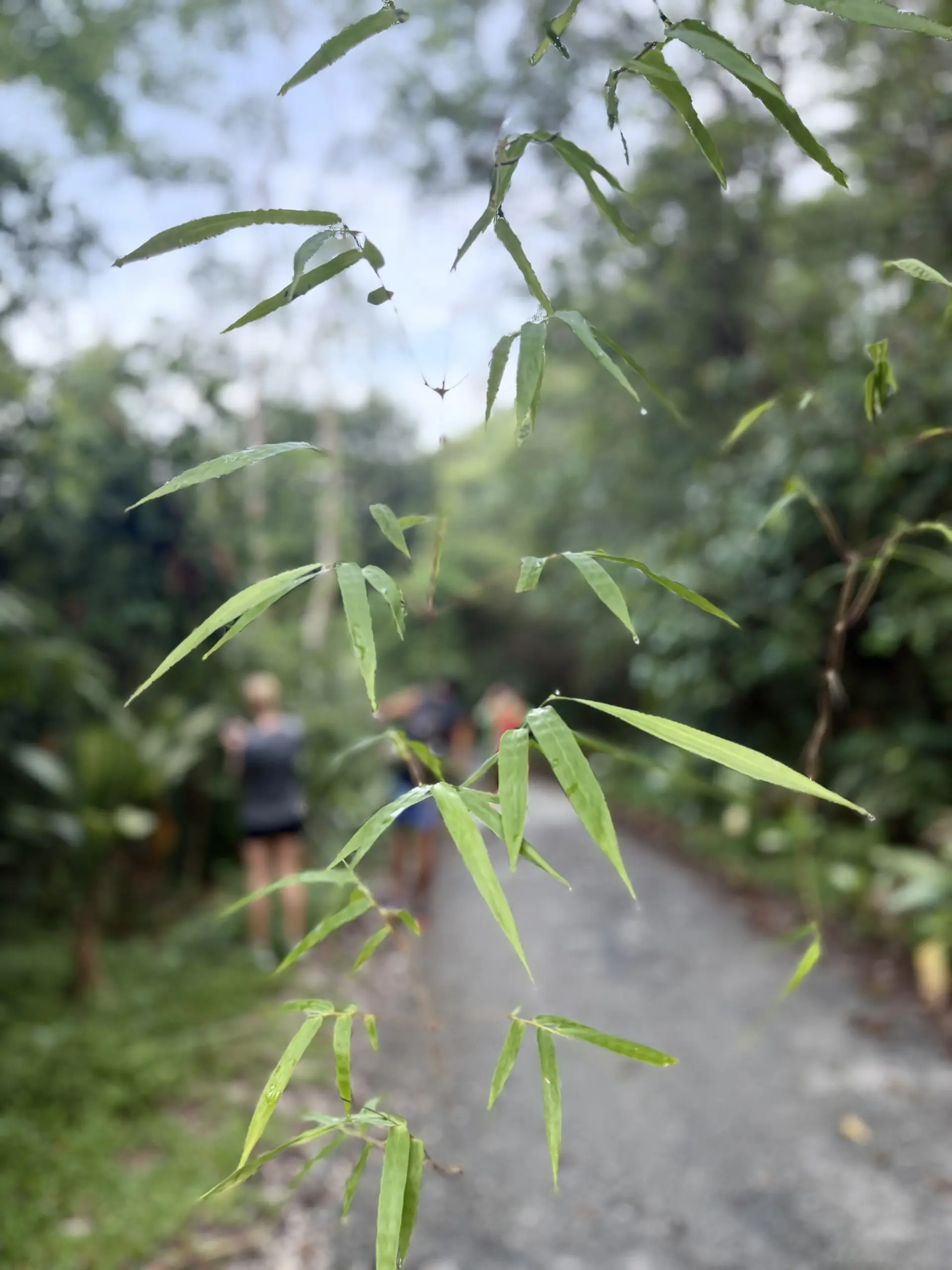 Kemensah Trail Head - Outdoor Activity in Ampang