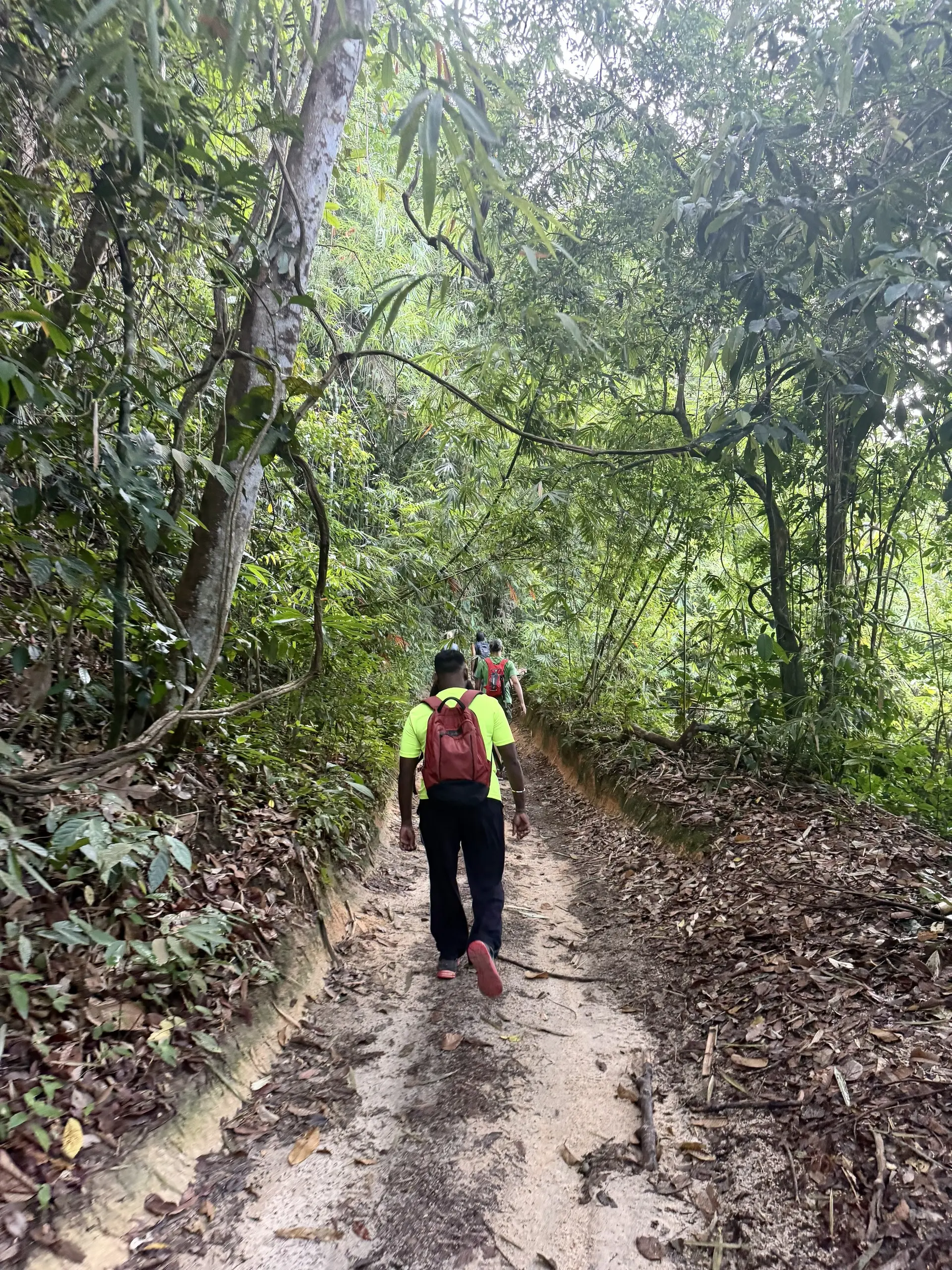 Jeram Kubang Gajah (Sofea Jane Waterfall) - Waterfall in Ampang