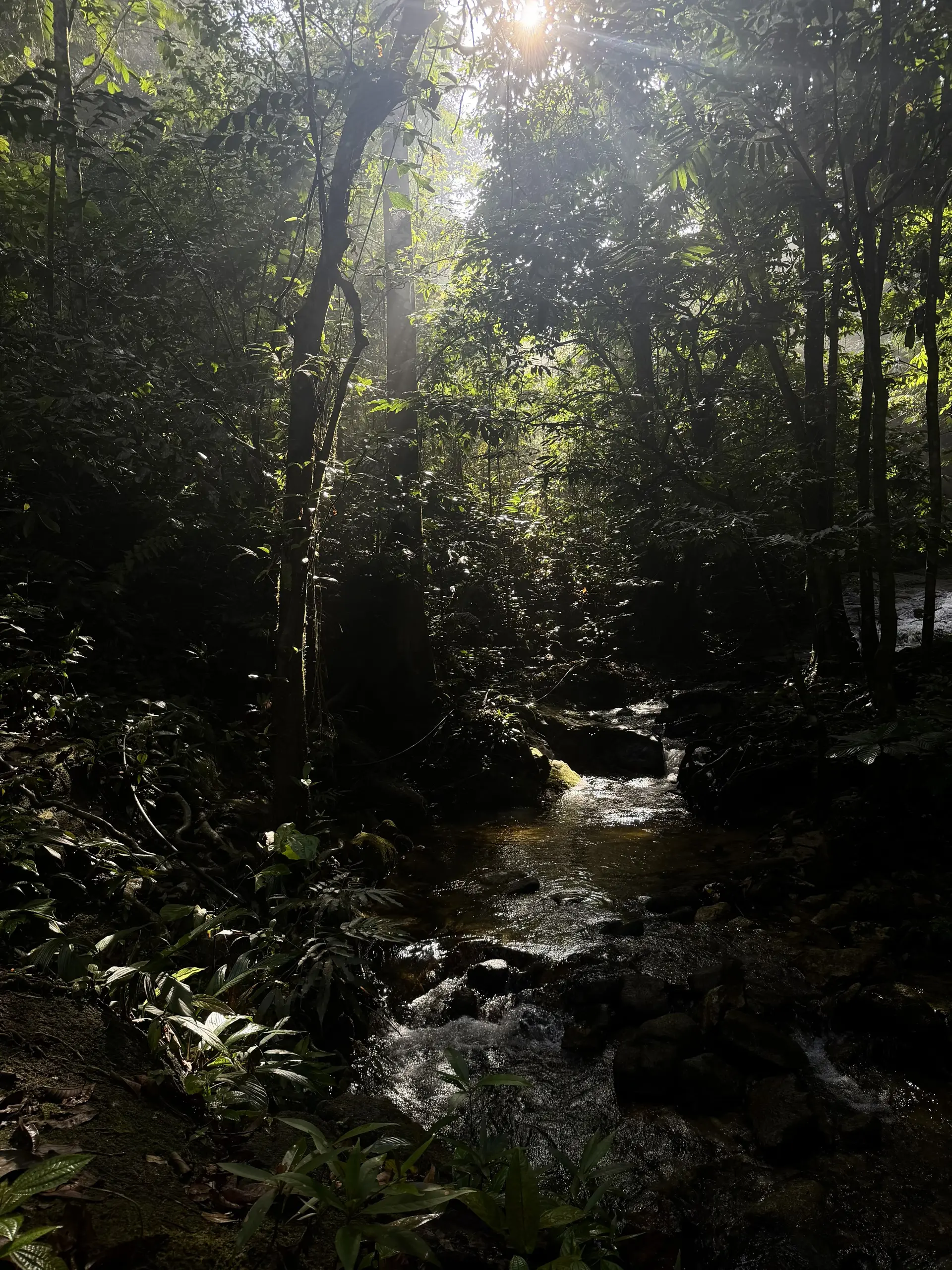 Jeram Kubang Gajah (Sofea Jane Waterfall) - Waterfall in Ampang