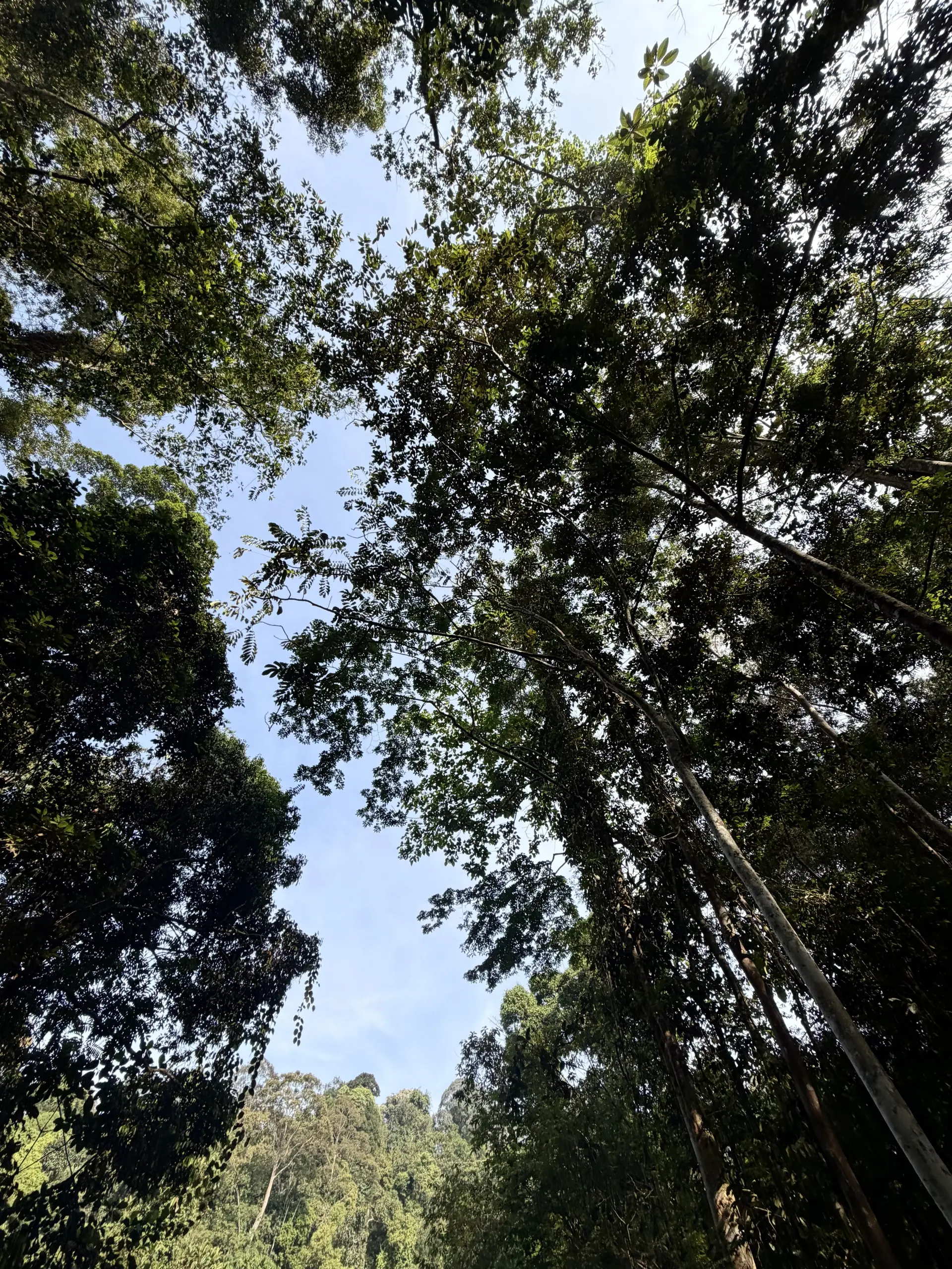 Jeram Kubang Gajah (Sofea Jane Waterfall) - Waterfall in Ampang