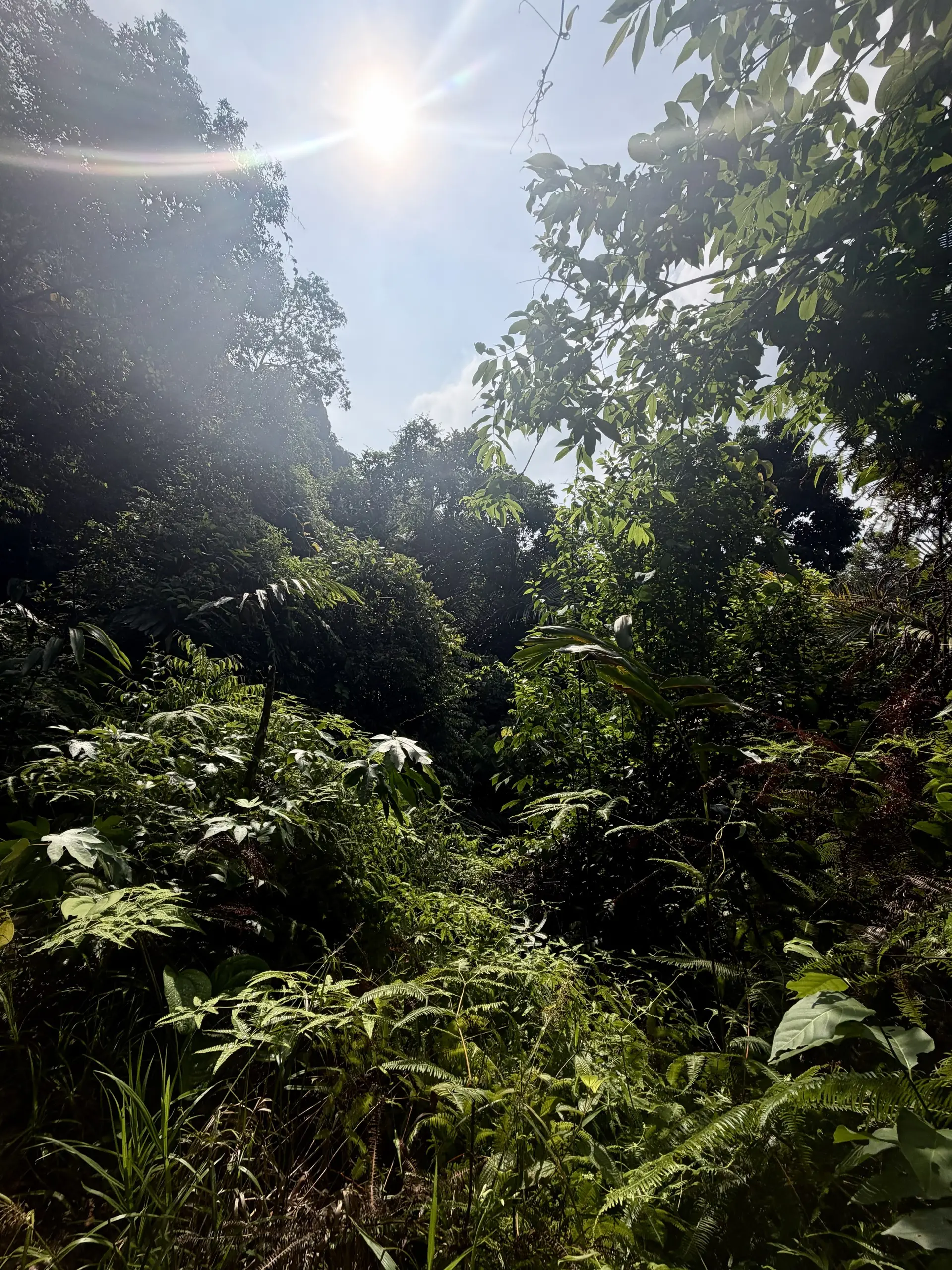 Lata Pinang (Maya Karin Waterfall)