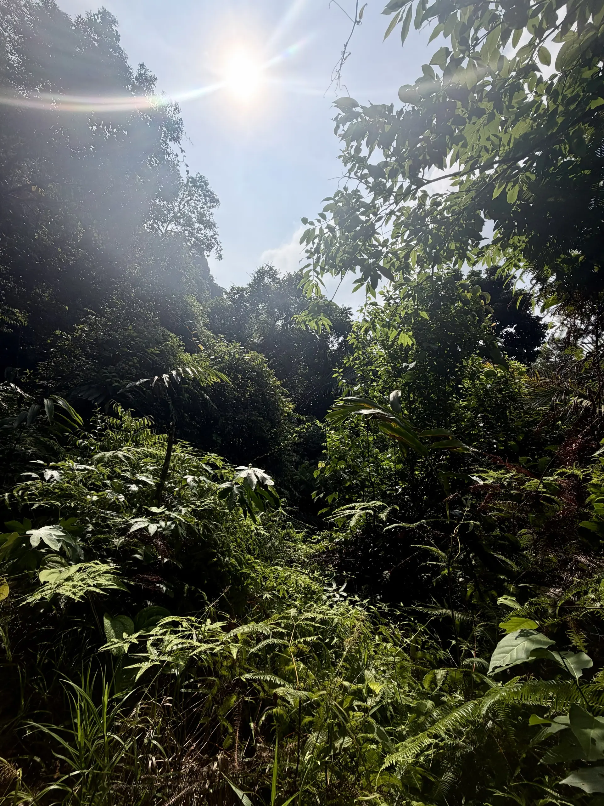 Jeram Kubang Gajah (Sofea Jane Waterfall) - Waterfall in Ampang