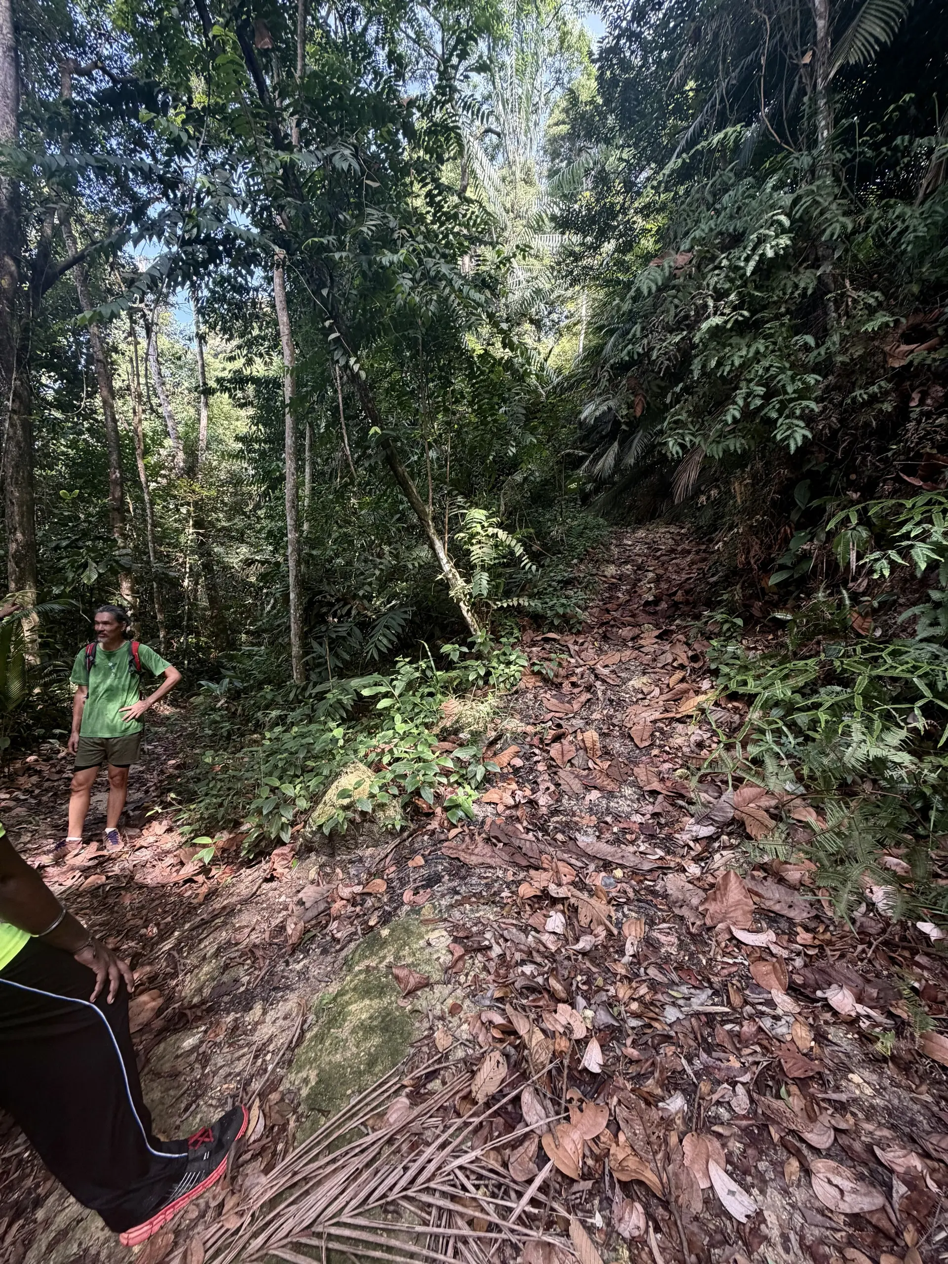 Jeram Kubang Gajah (Sofea Jane Waterfall) - Waterfall in Ampang