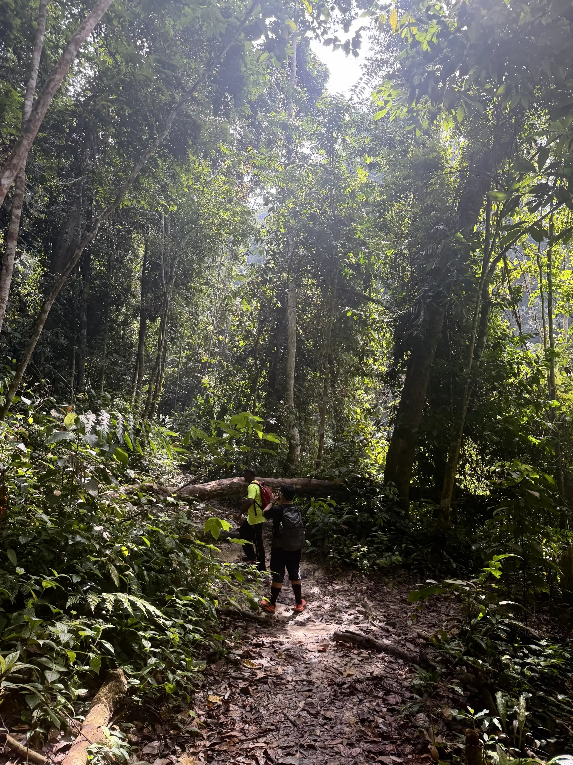 Lata Pinang (Maya Karin Waterfall) - Waterfall in Ampang