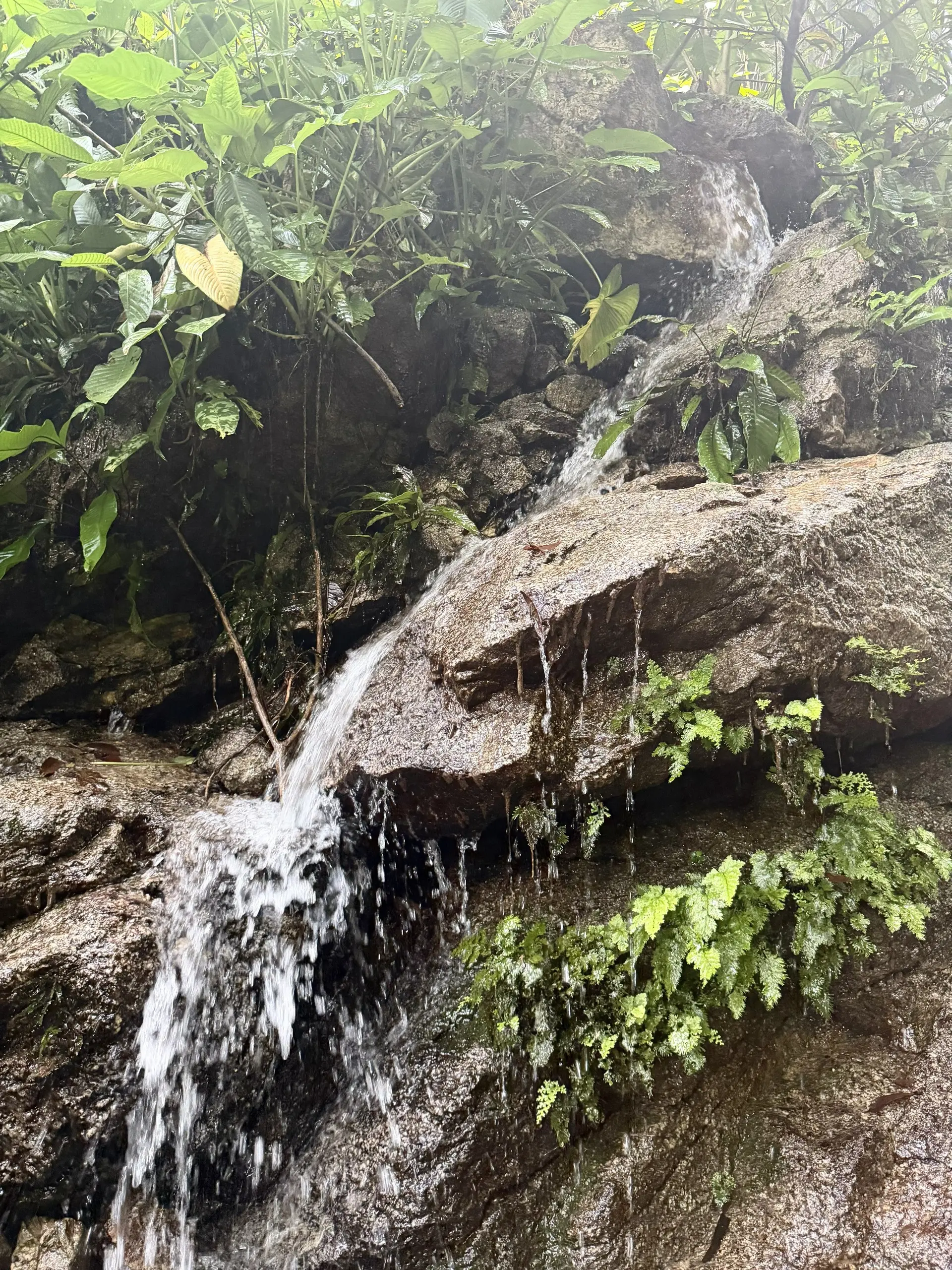 Lata Pinang (Maya Karin Waterfall) - Waterfall in Ampang