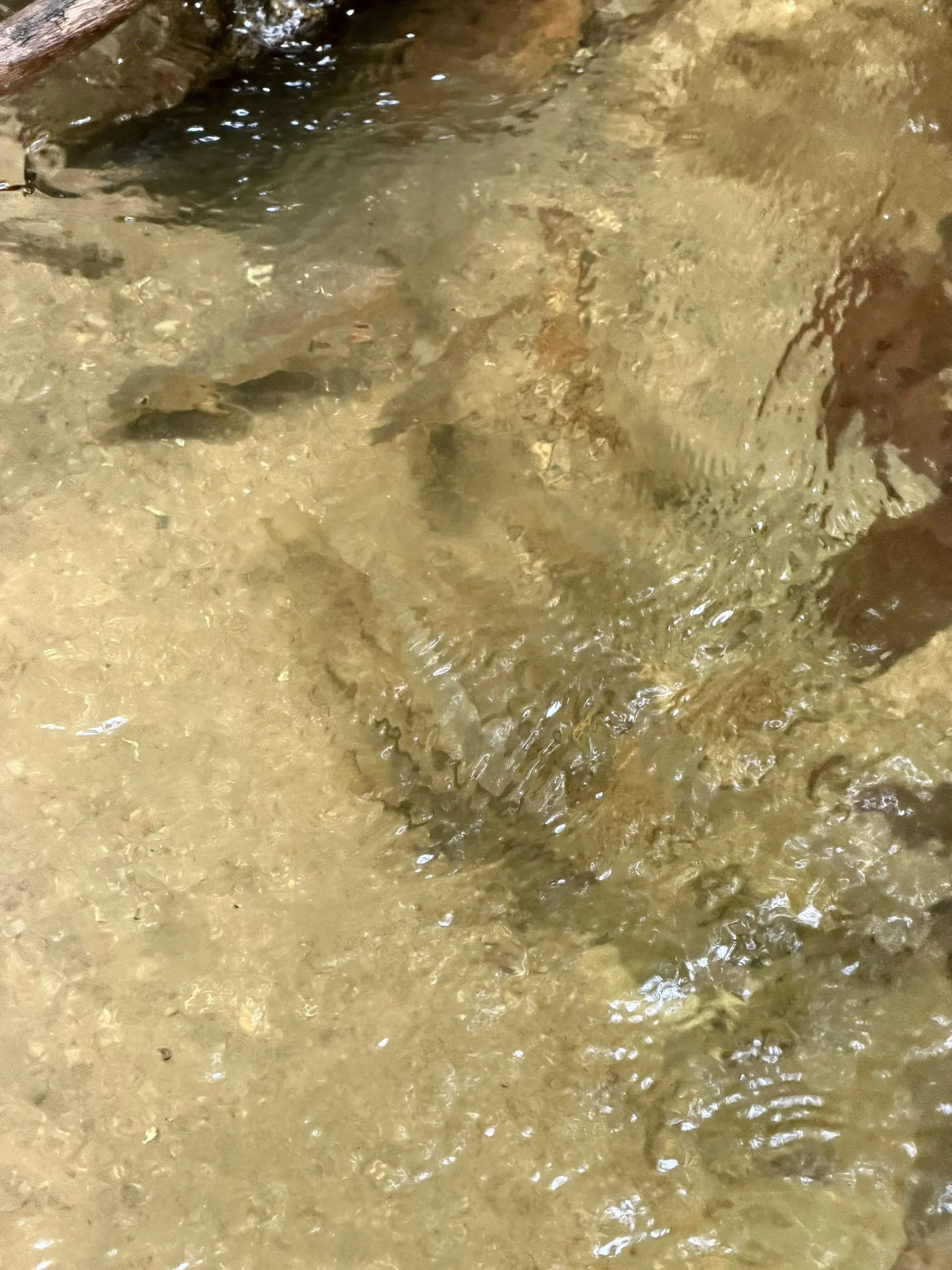 Lata Pinang (Maya Karin Waterfall) - Waterfall in Ampang