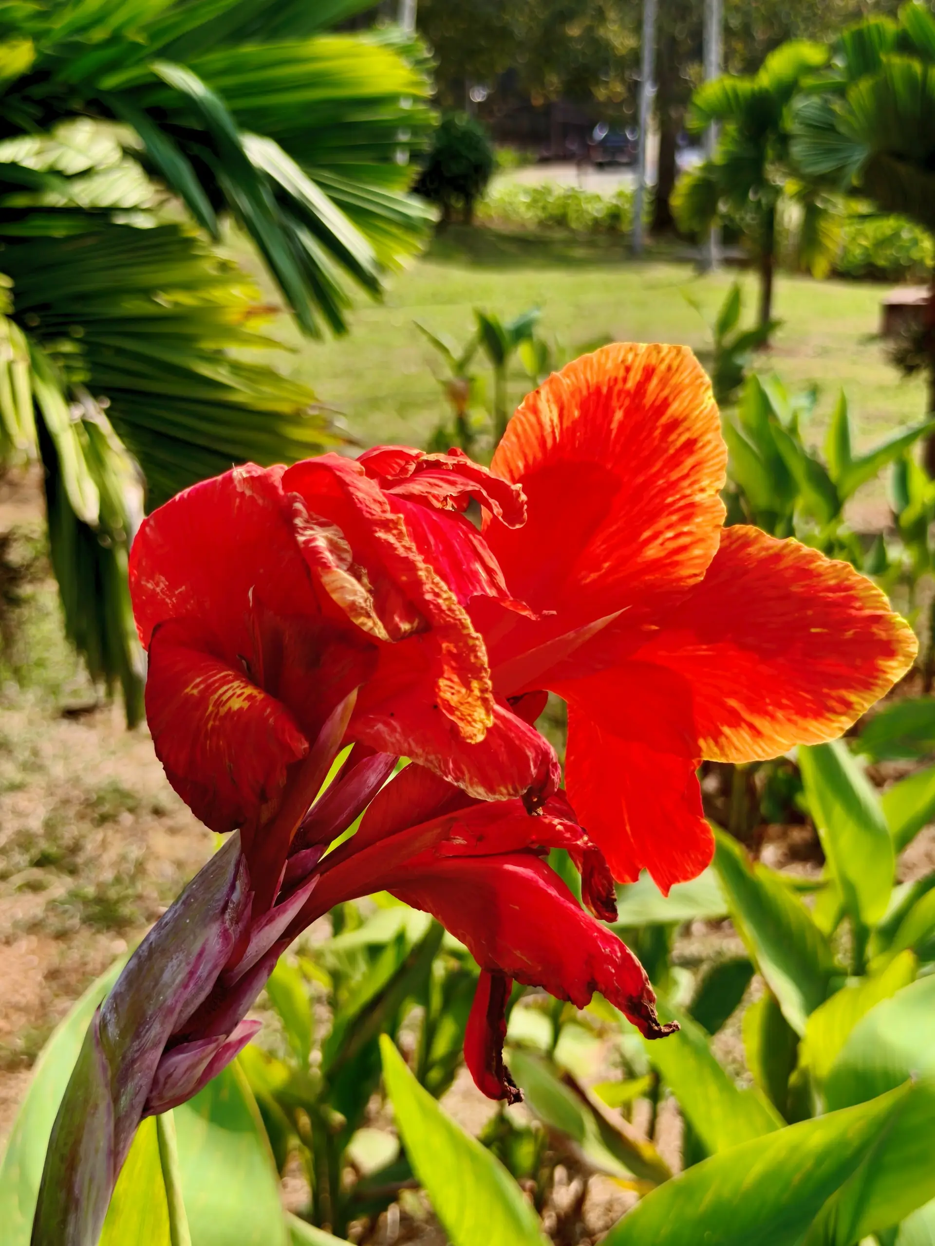 Putrajaya Botanical Garden