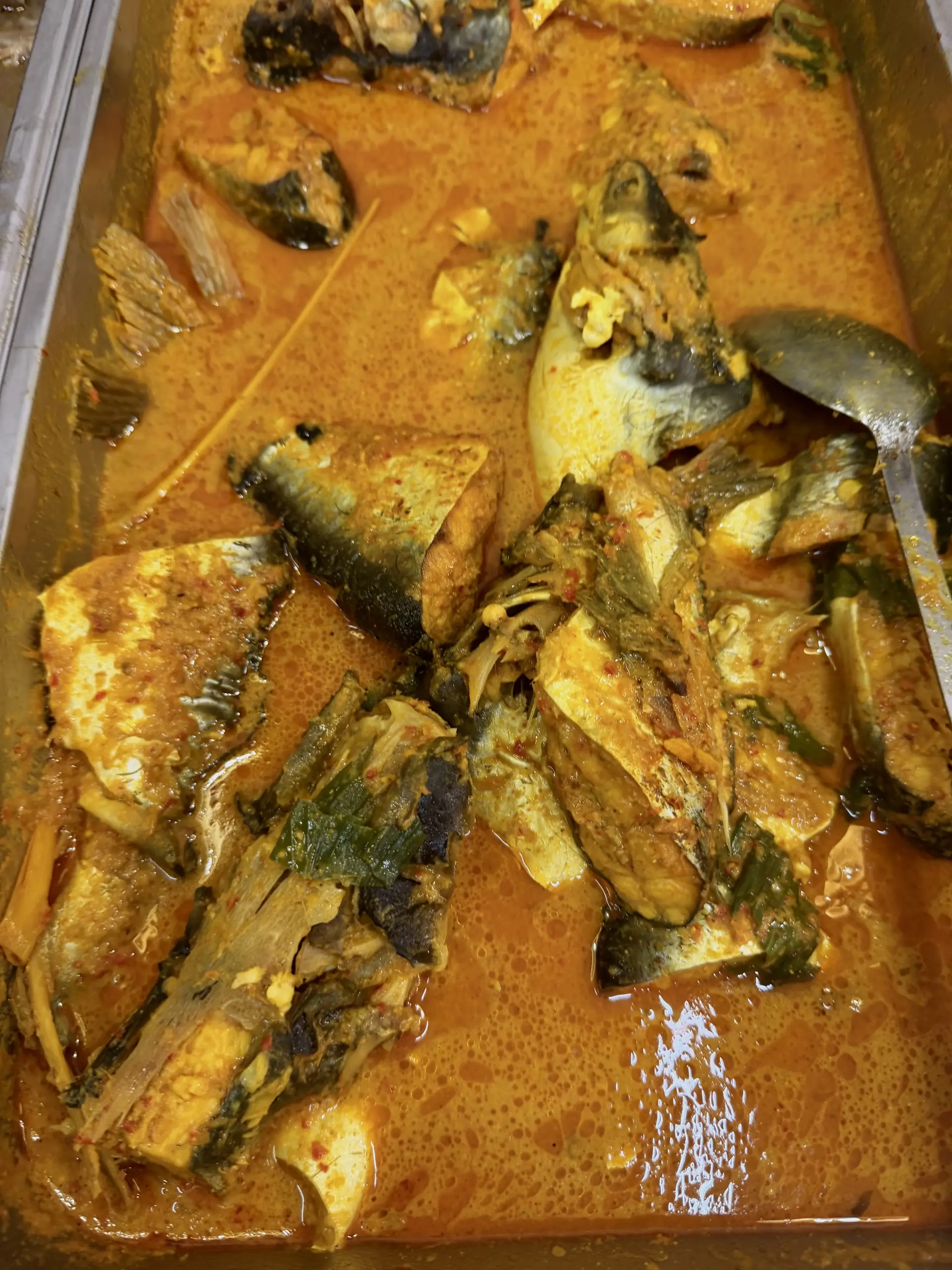 Restoran Dilla Masakan Utara photo 11
