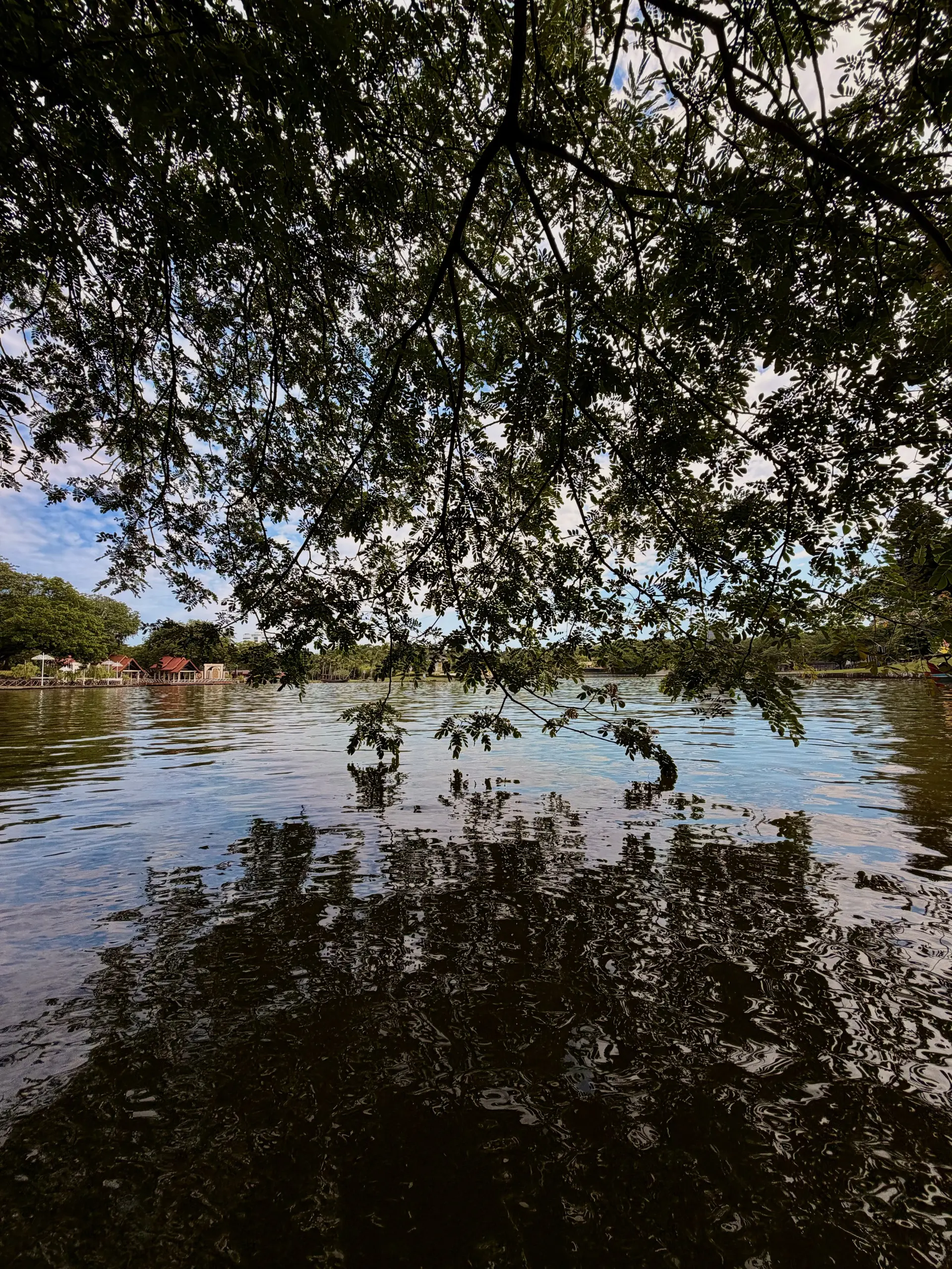 Taman Tasik Shah Alam photo 2