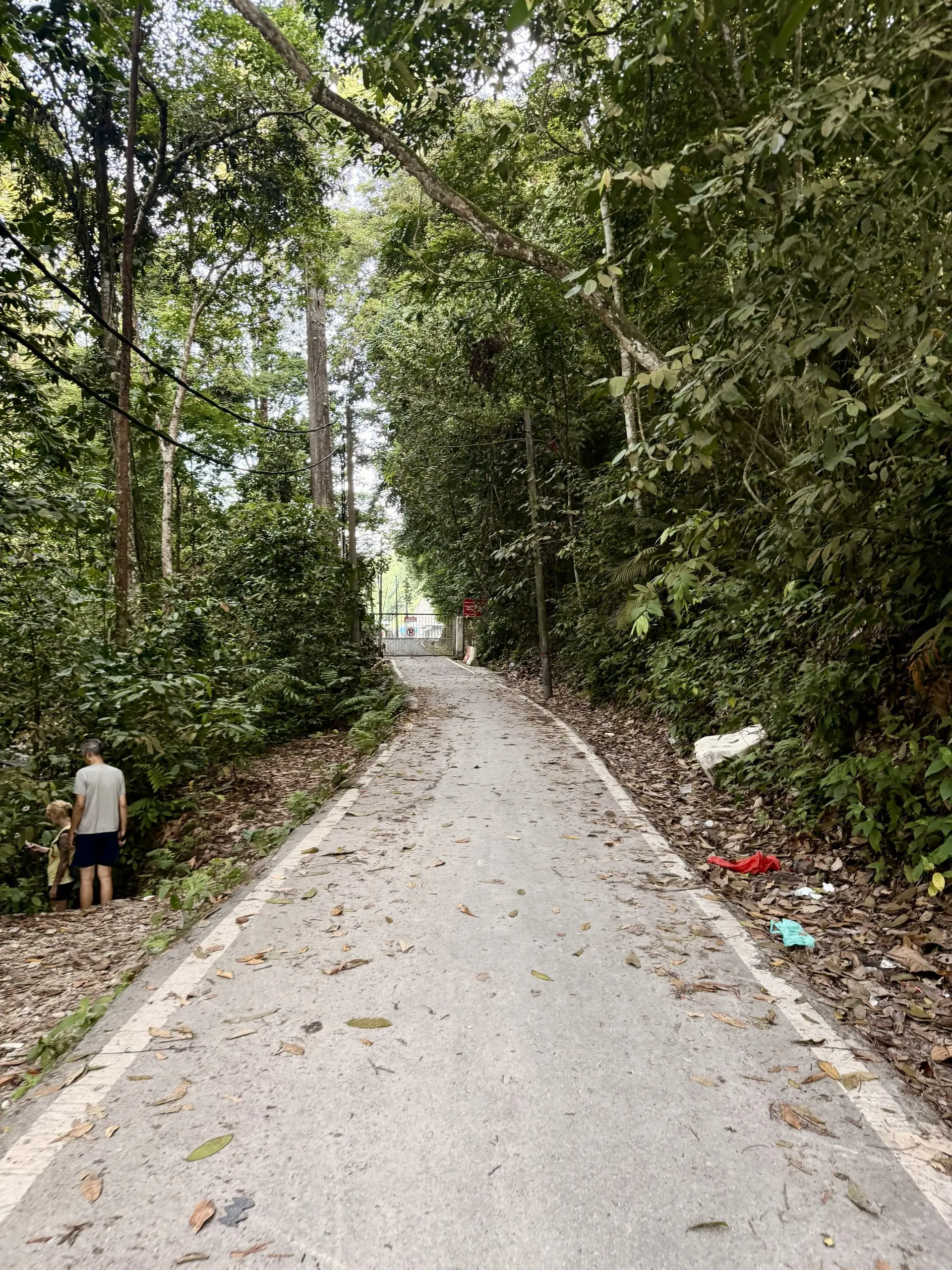 Sungai Pisang Waterfall Trailhead - Outdoor Activity in Batu Caves