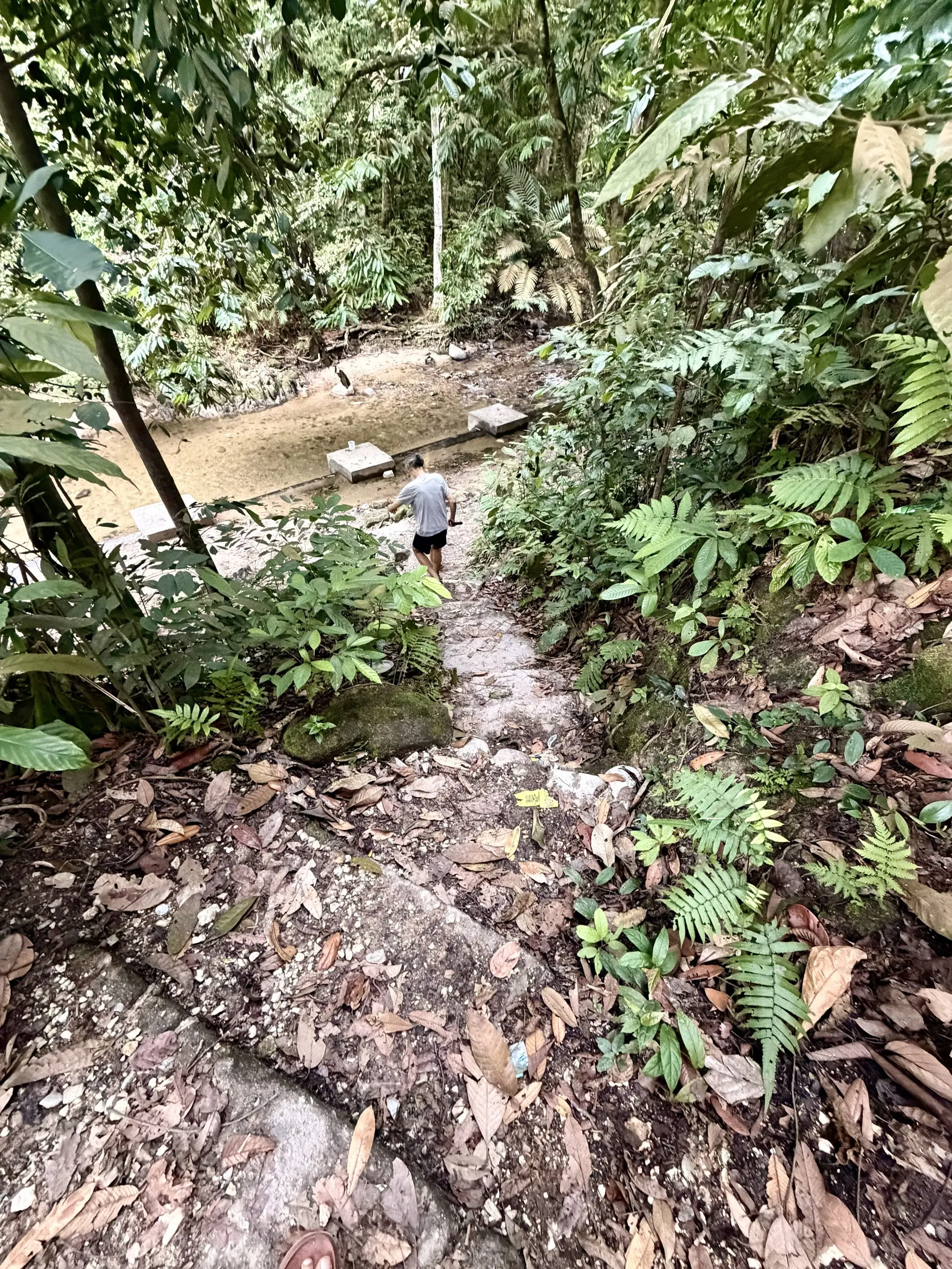 Sungai Pisang Waterfall Trailhead - Outdoor Activity in Batu Caves