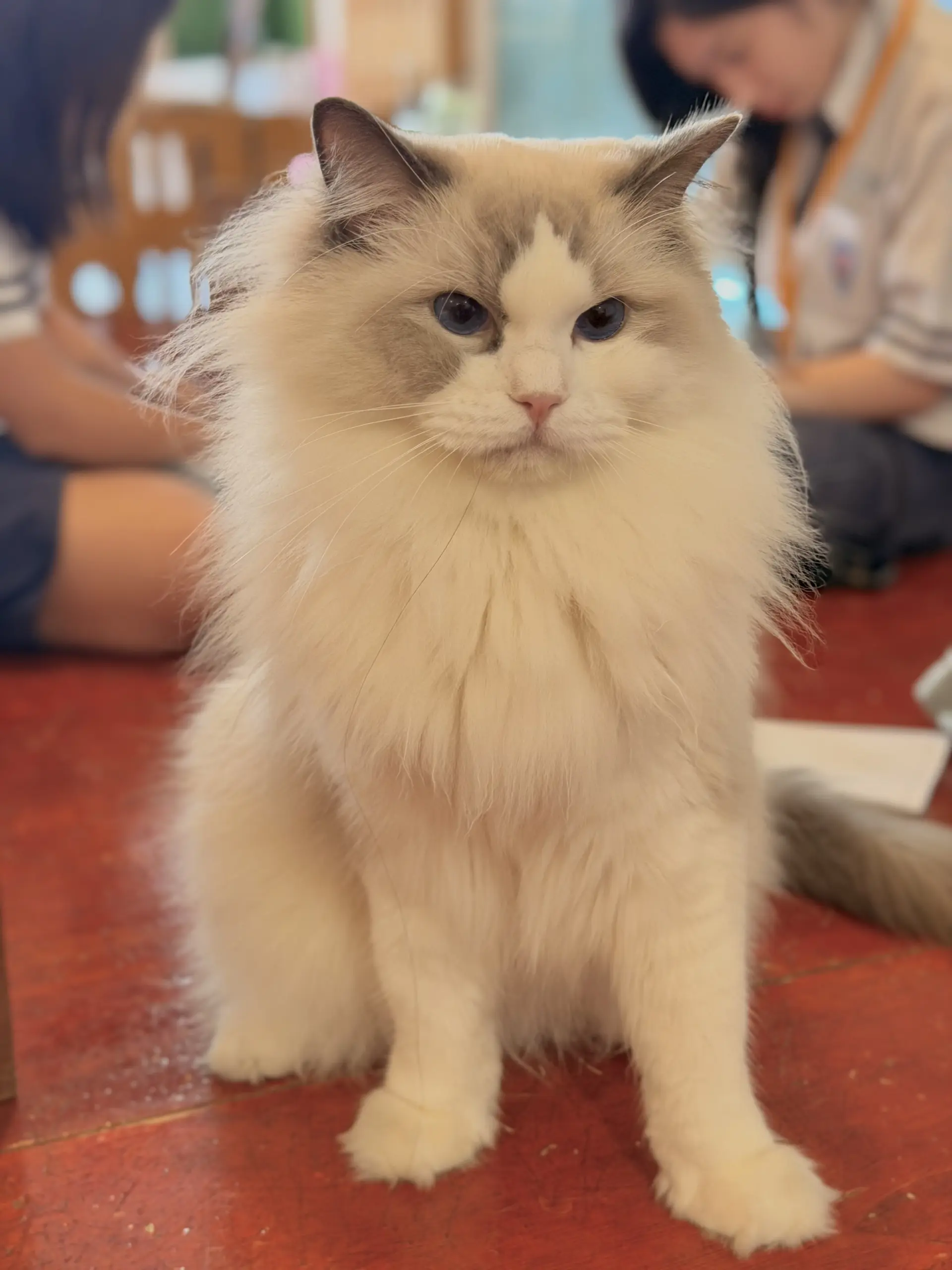 Monster. A Garden Cafe photo 3