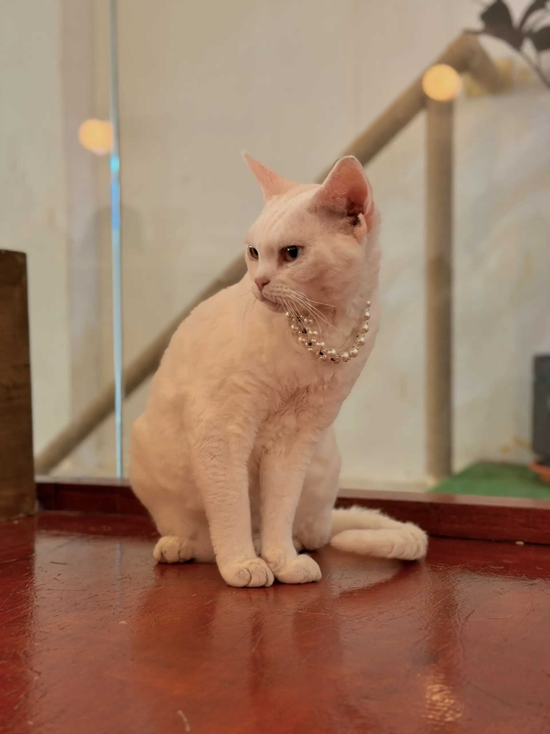 Monster. A Garden Cafe photo 9
