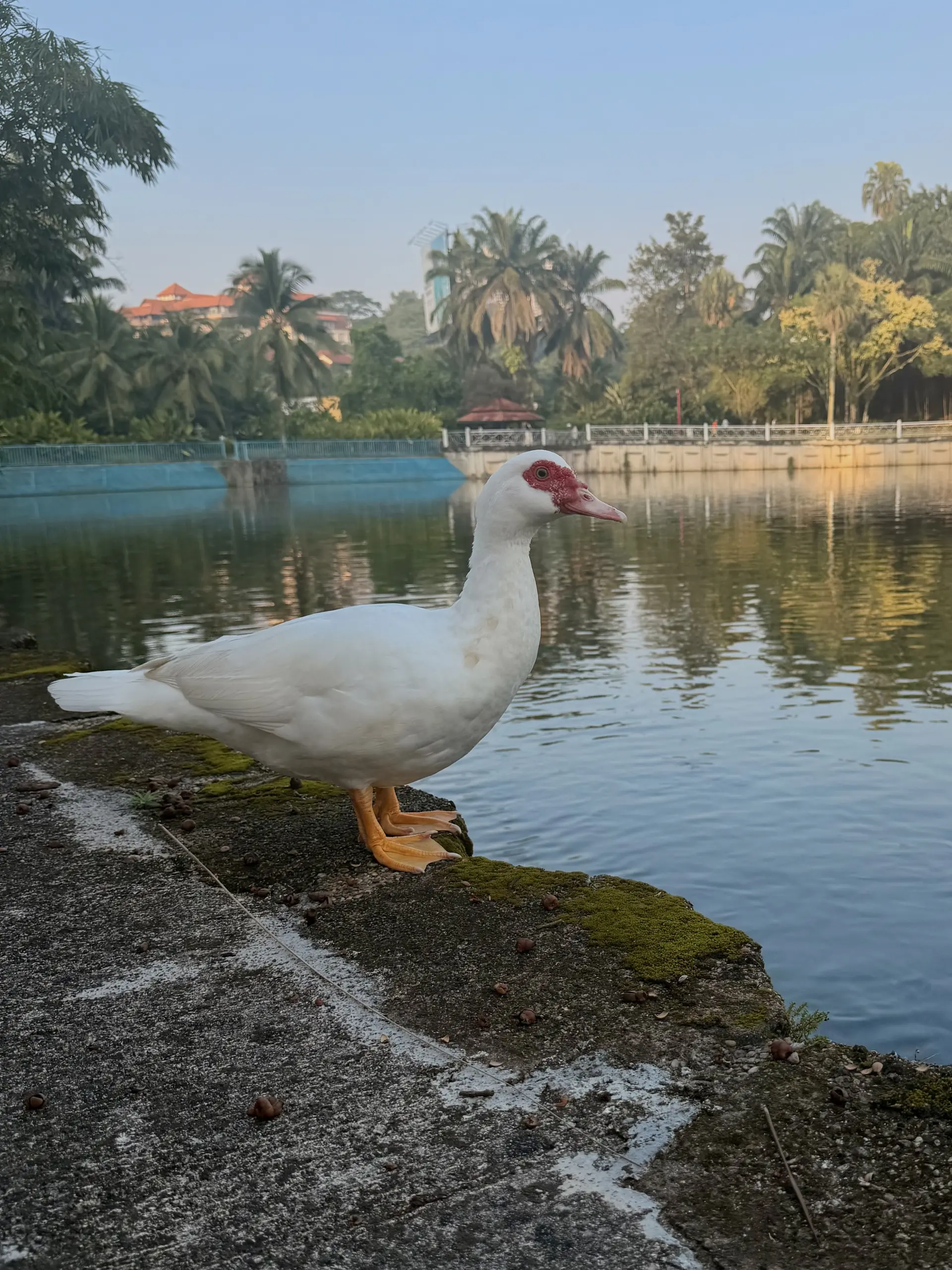 Perdana Botanical Garden - Garden & Park in Kuala Lumpur