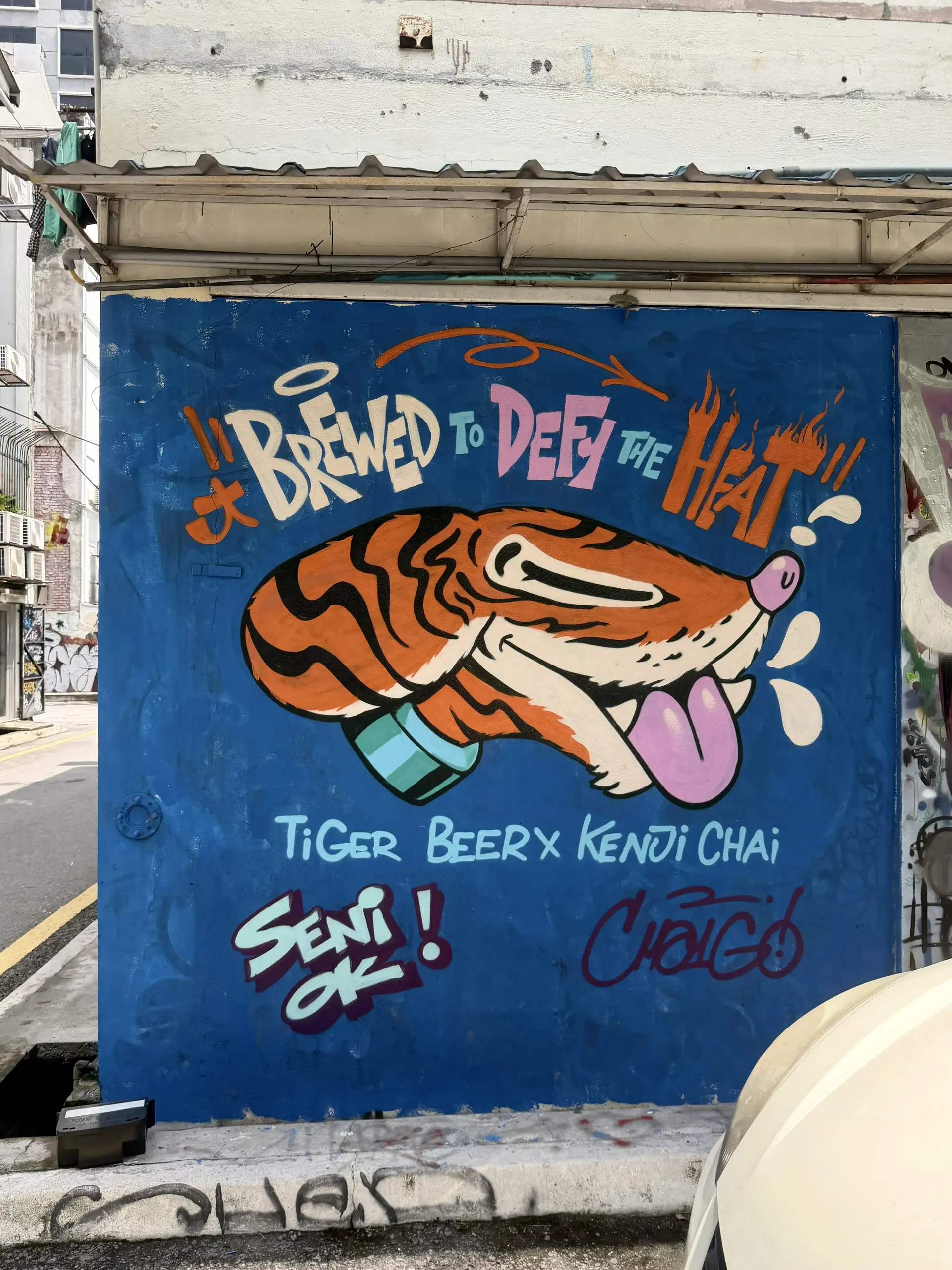 Jalan Tuba Street Arts - Street Art in Kuala Lumpur