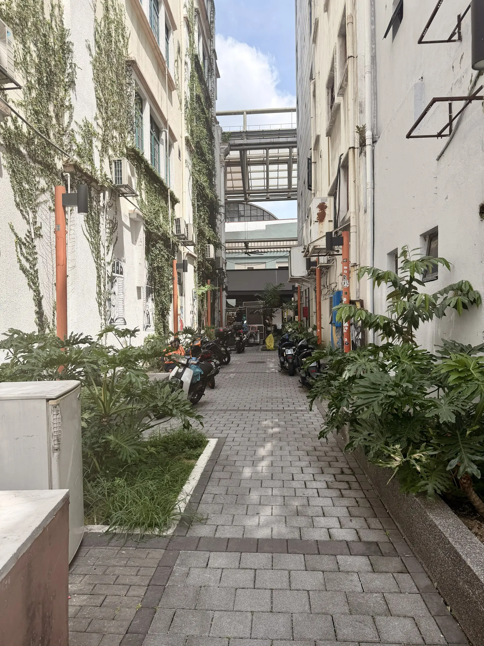 Street Art in Central Market Back Alley