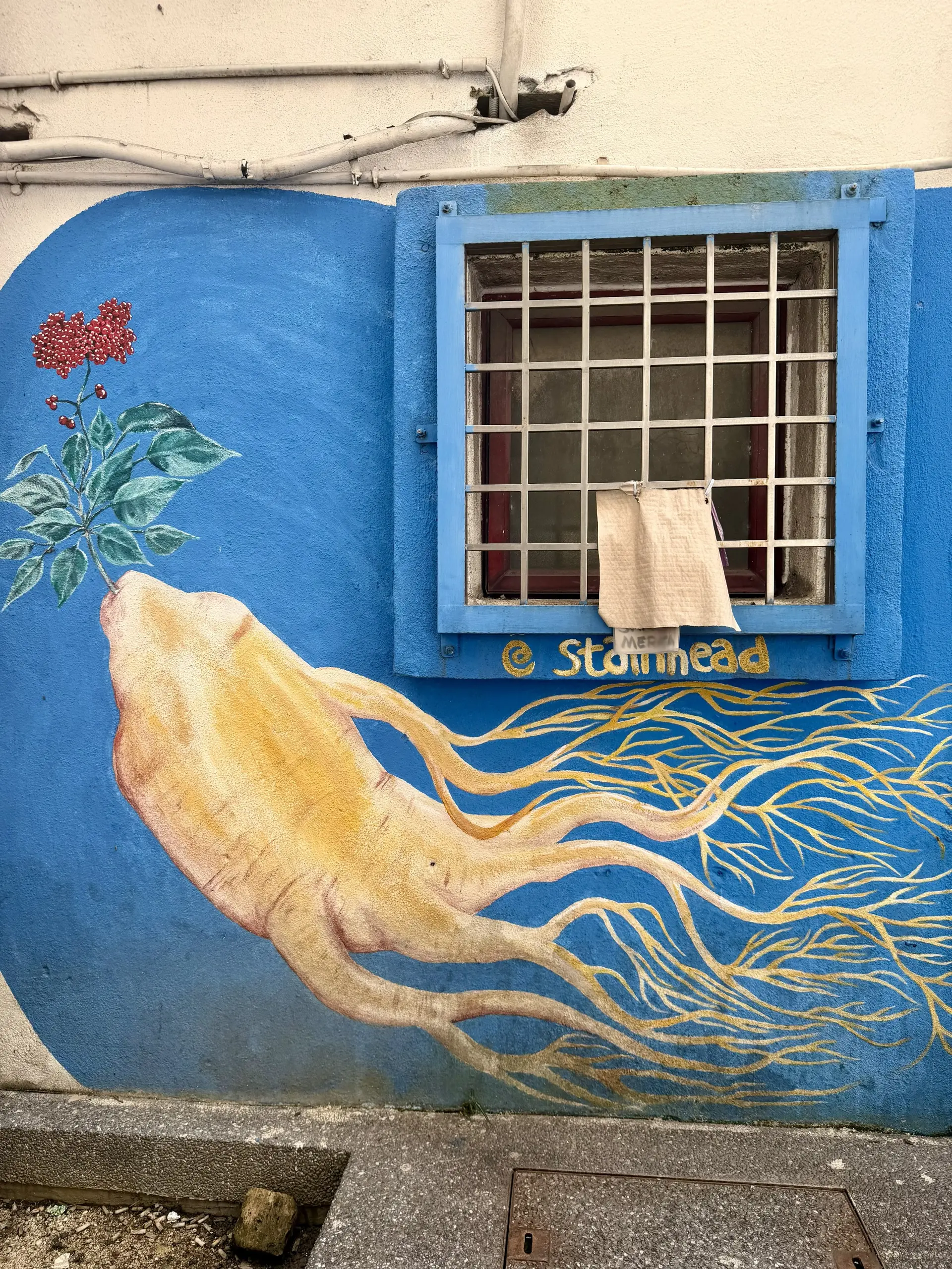 Street Art in Central Market Back Alley