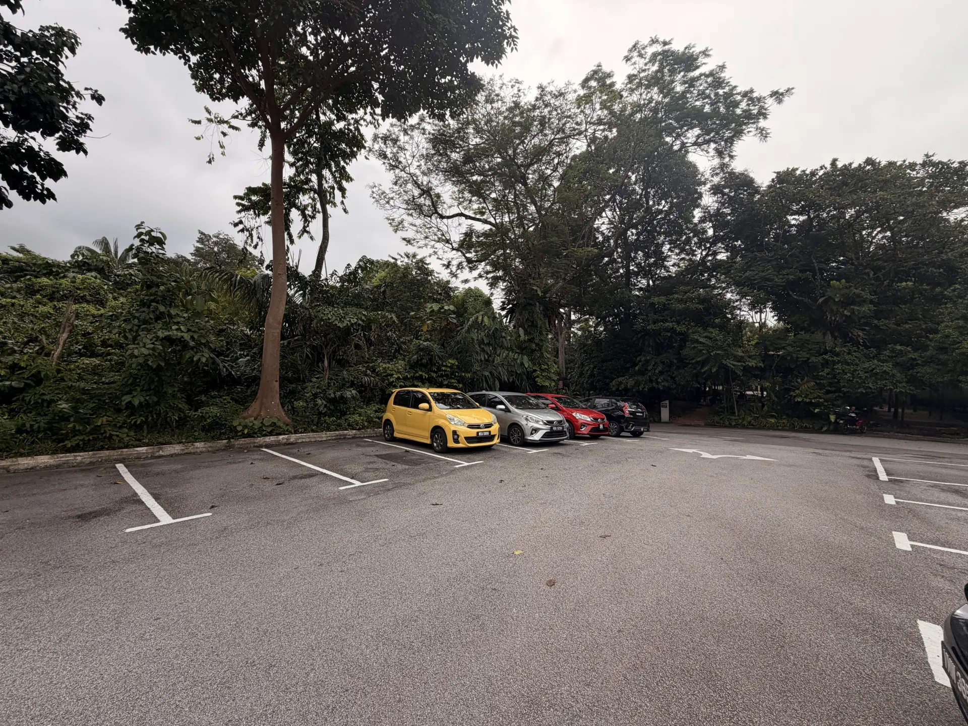 Taman Tugu - Outdoor Activity in Kuala Lumpur