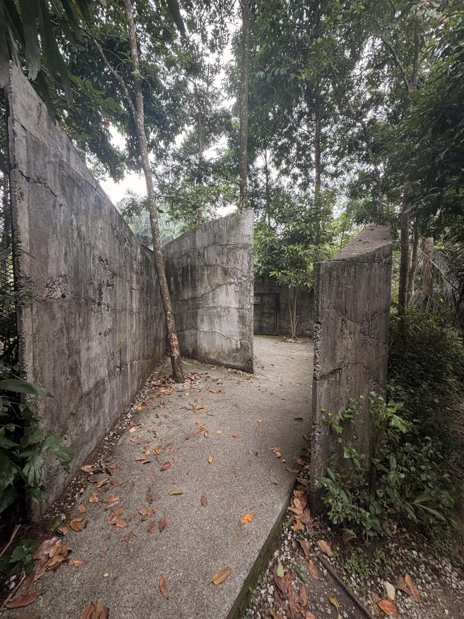 Taman Tugu - Outdoor Activity in Kuala Lumpur