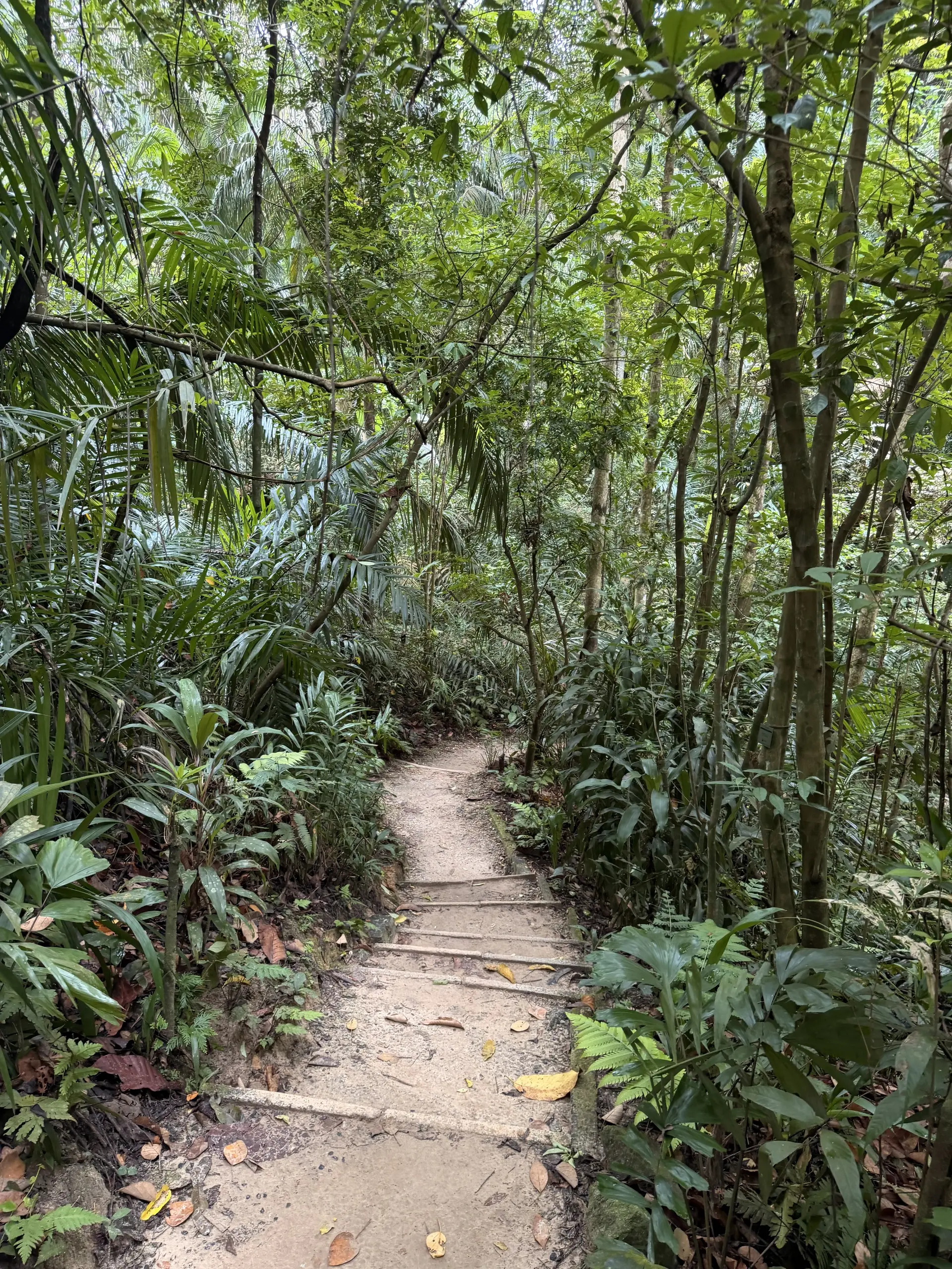 Taman Tugu - Outdoor Activity in Kuala Lumpur