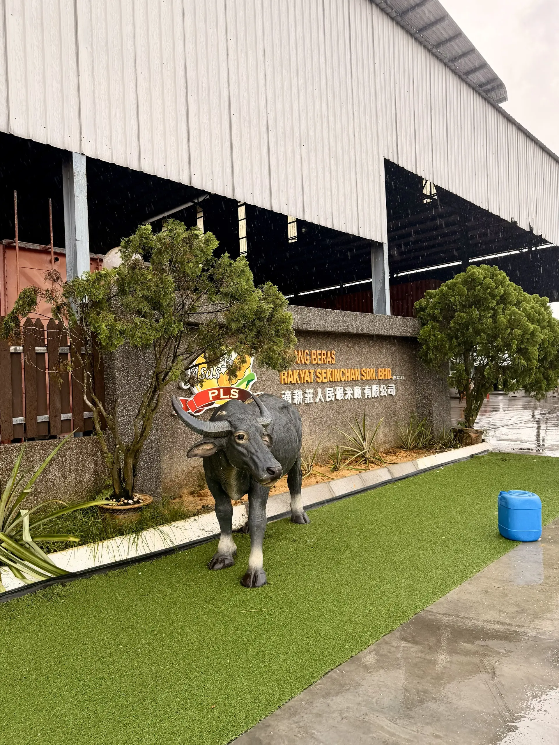 Paddy Gallery - Museum in Sekinchan
