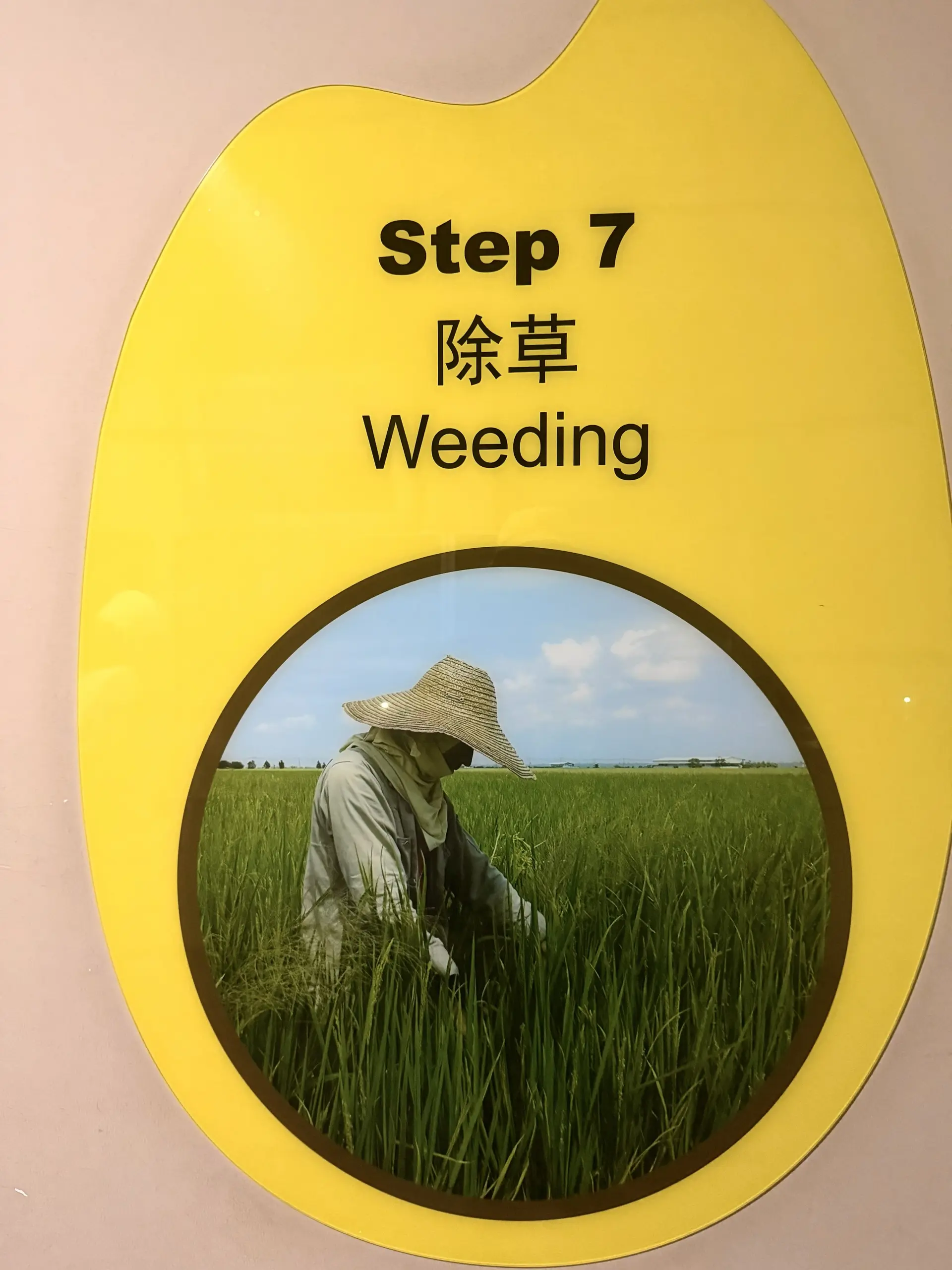 Paddy Gallery - Museum in Sekinchan