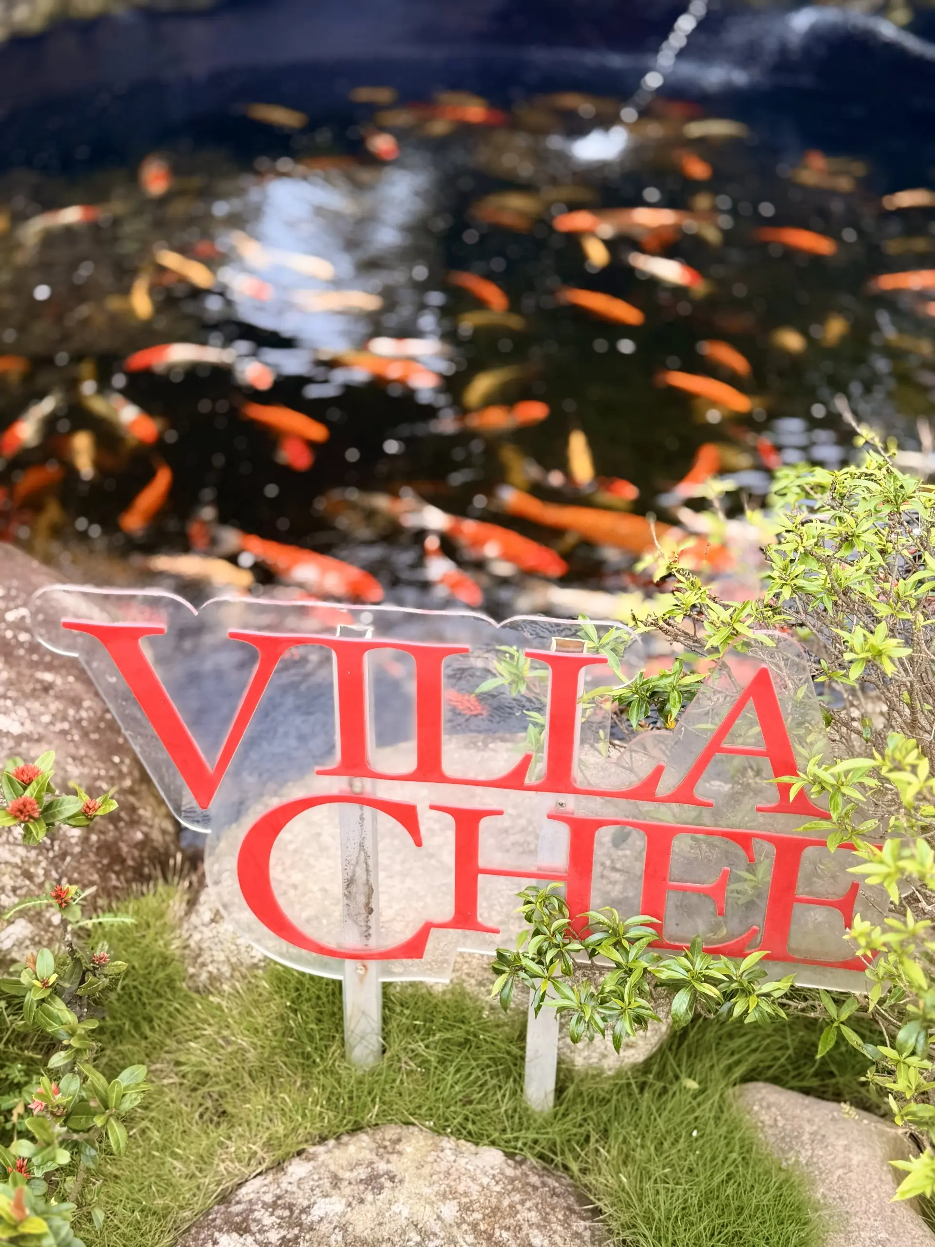 Villa Chee Sekinchan - Homestay in Sekinchan