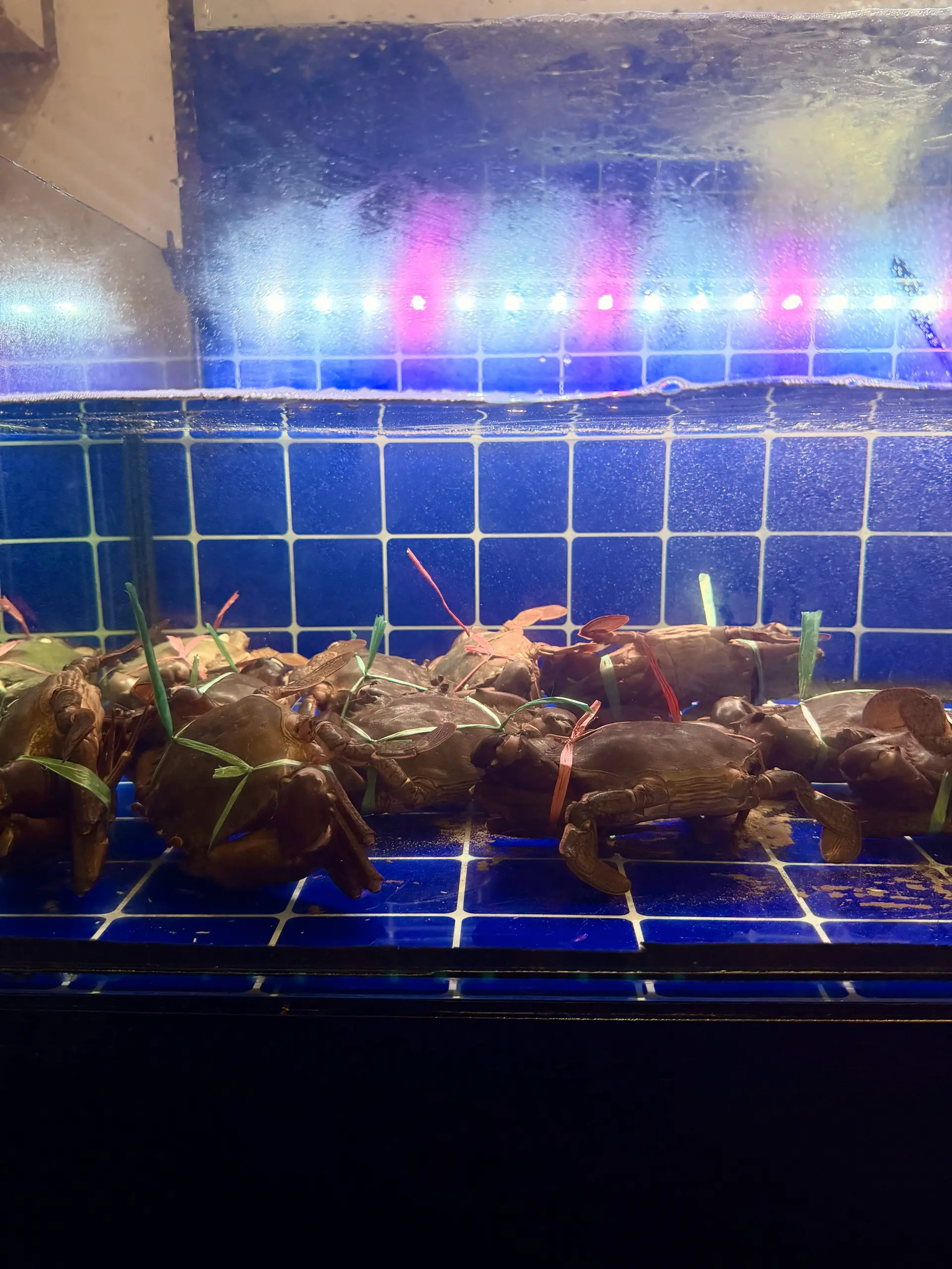 Yu Jia Ren Seafood - Local Food in Kuala Selangor