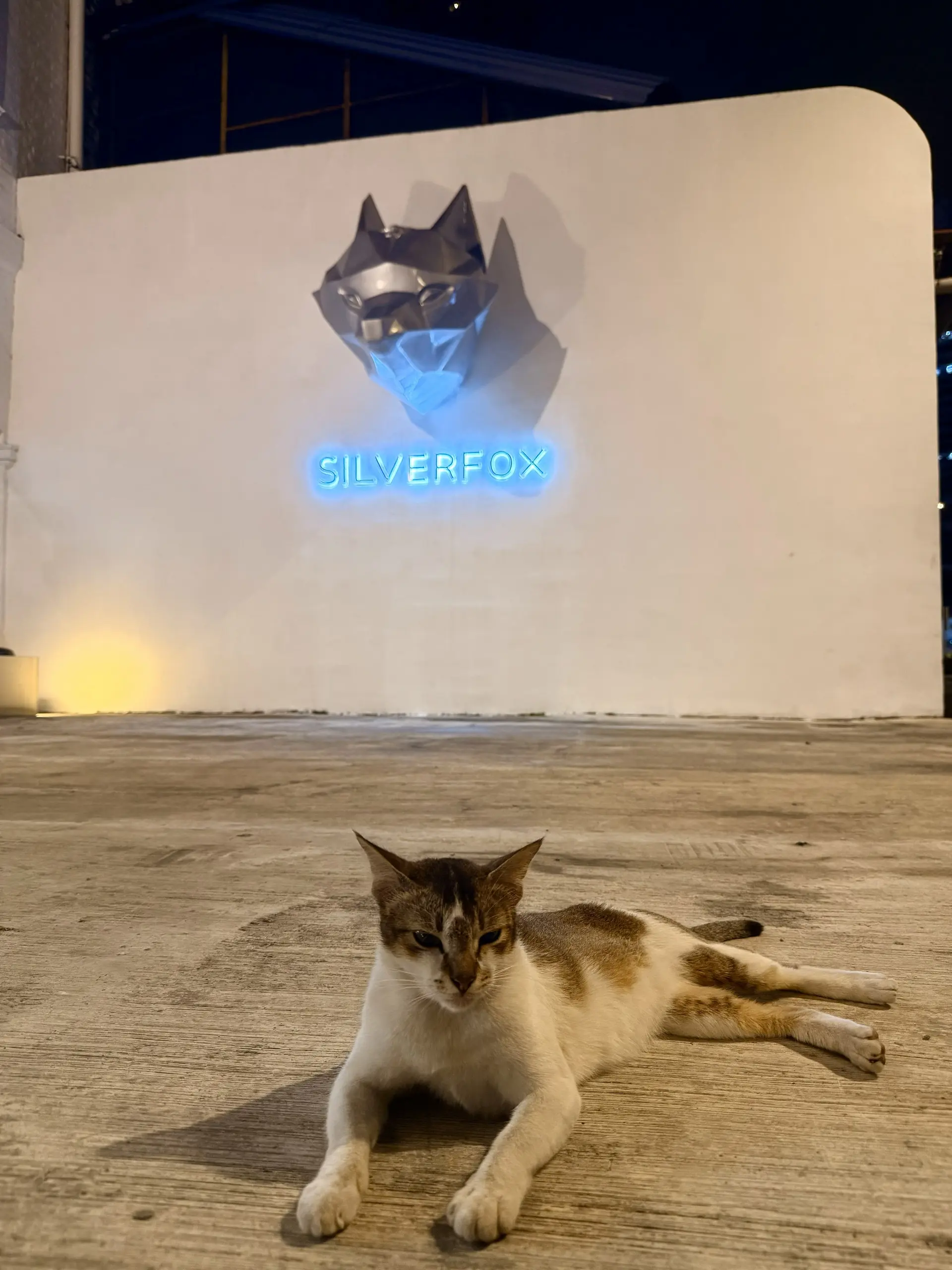 Silverfox Cafe