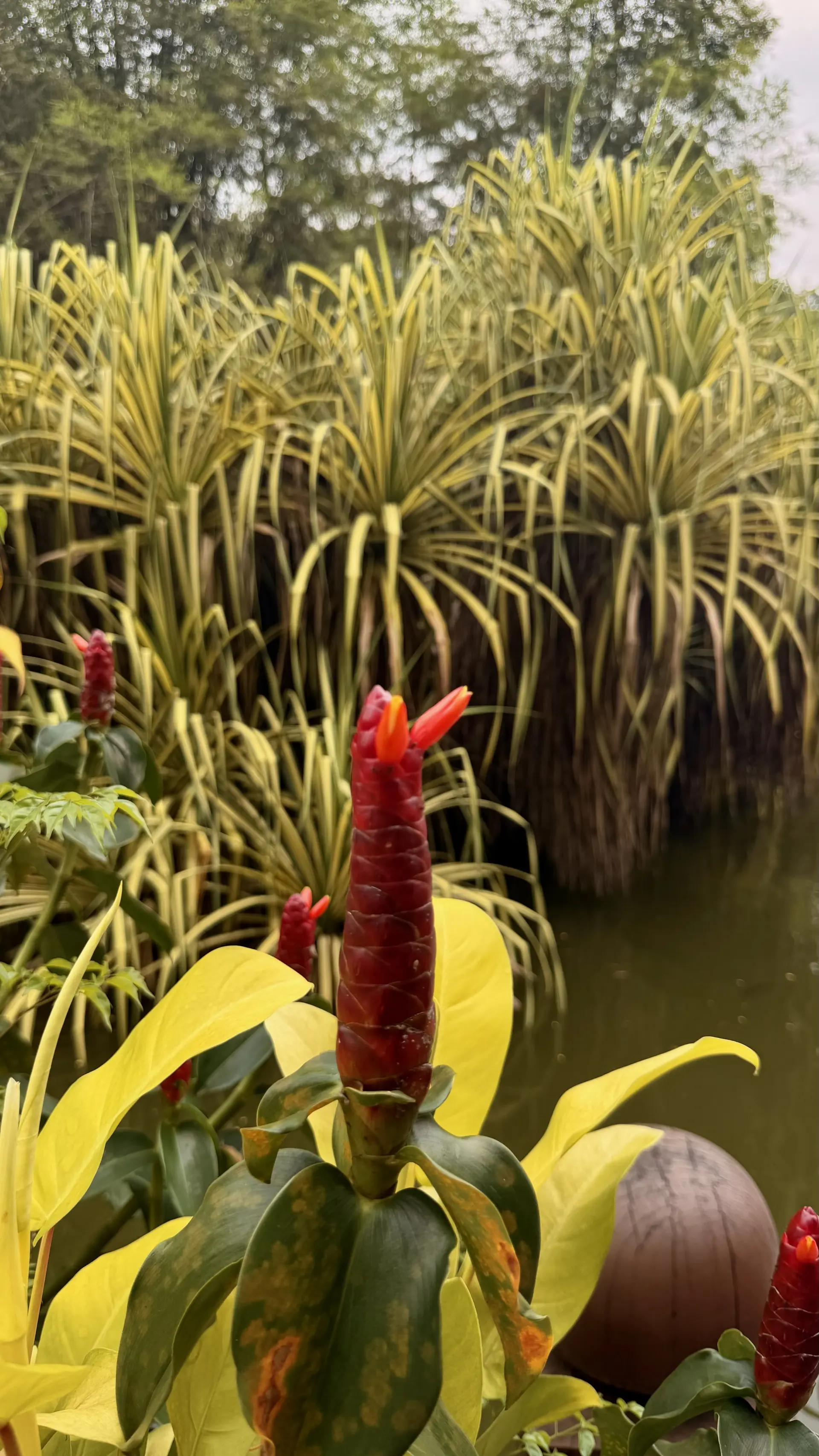 Perdana Botanical Garden - Garden & Park in Kuala Lumpur