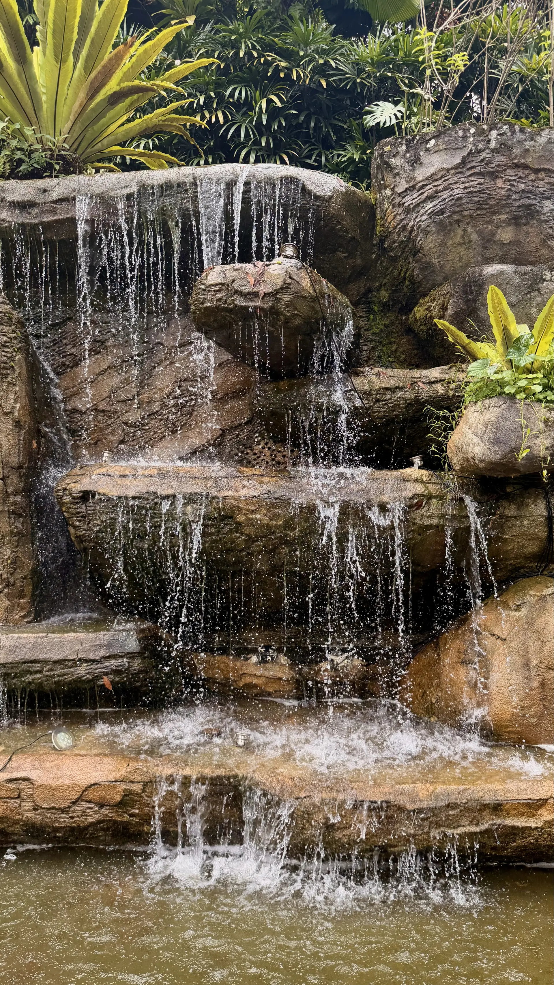 Perdana Botanical Garden - Garden & Park in Kuala Lumpur